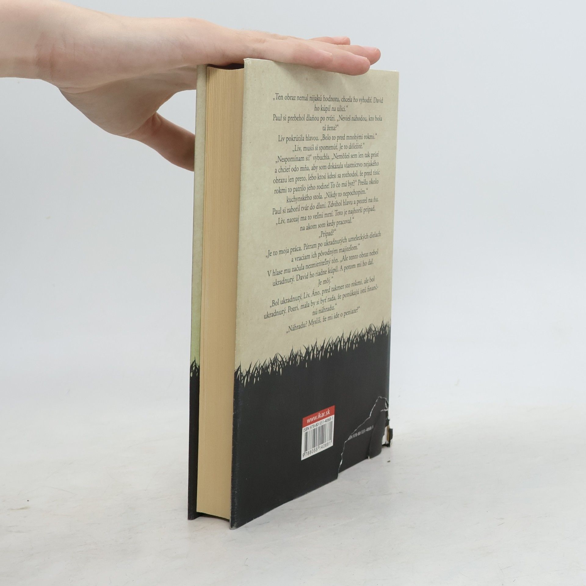 Jojo Moyes Dievča, ktoré si tu zanechal