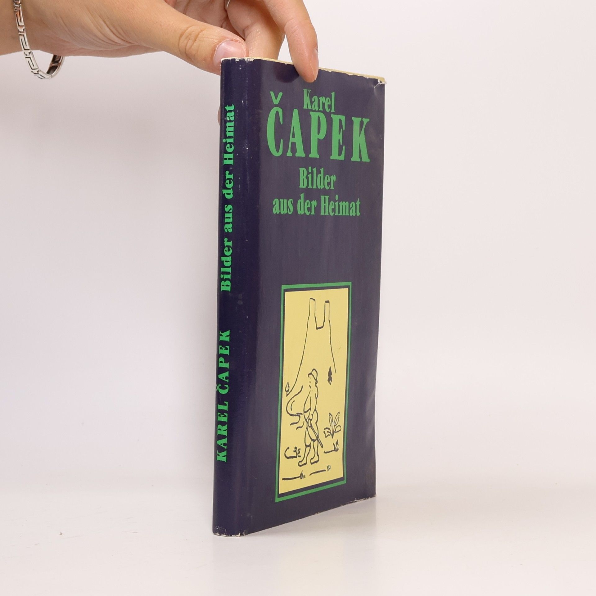 Karel Čapek Bilder aus der Heimat