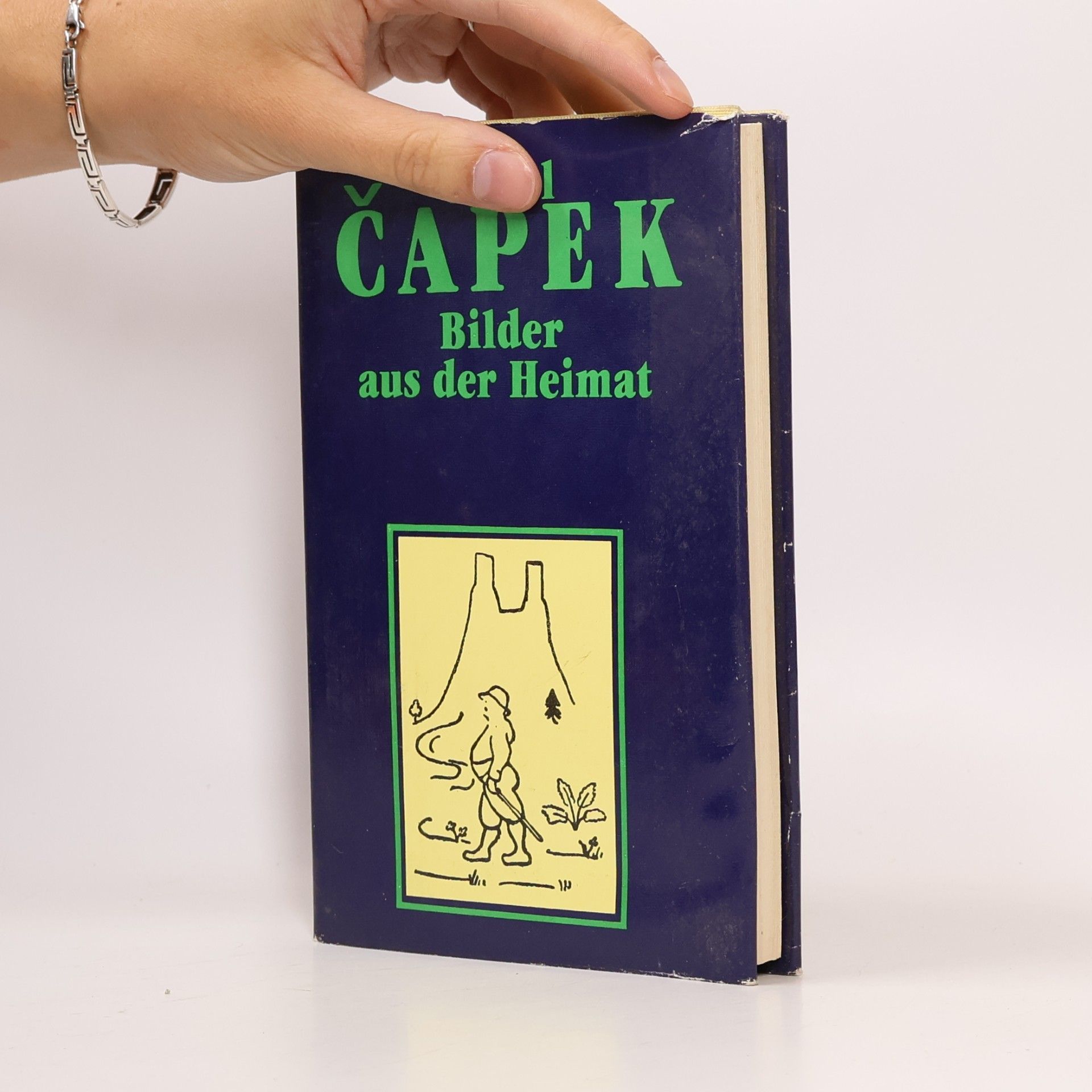 Karel Čapek Bilder aus der Heimat