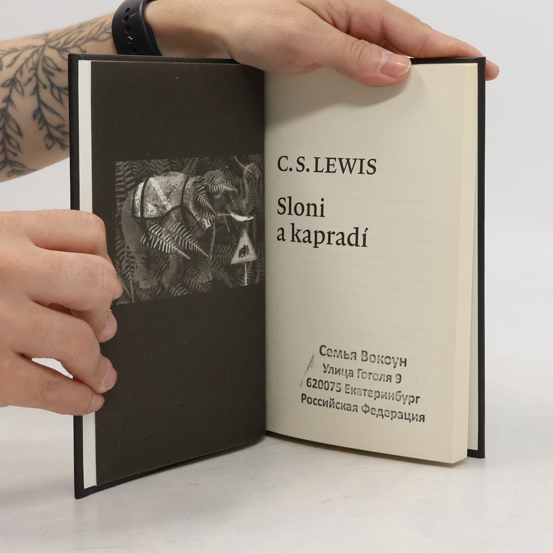 Clive Staples Lewis Sloni a kapradí