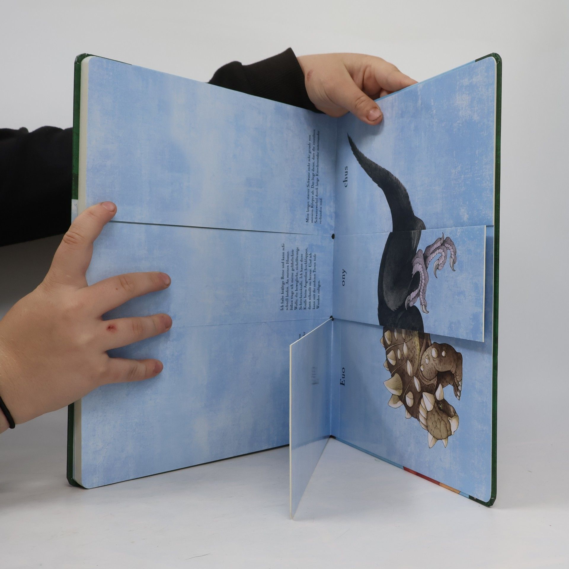 Sara Ball Das verrückte Dino-Klappbuch