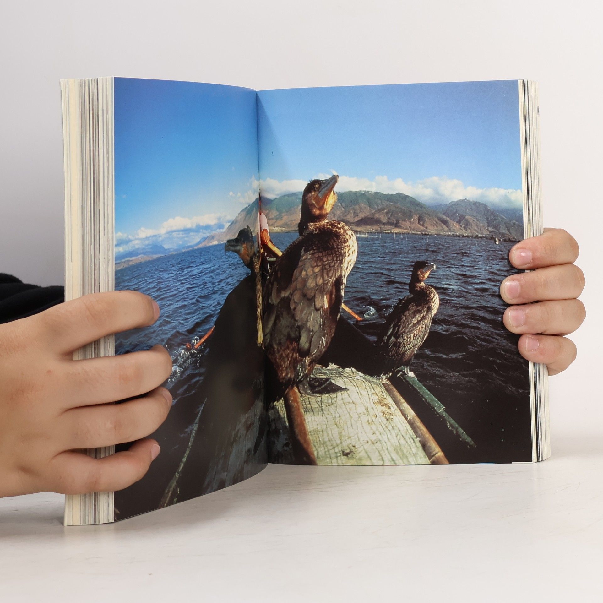Kolektív autorov Snoecks 94. Literatuur/ beeldende kunst/ reportages/ film/foto/ design/ mode