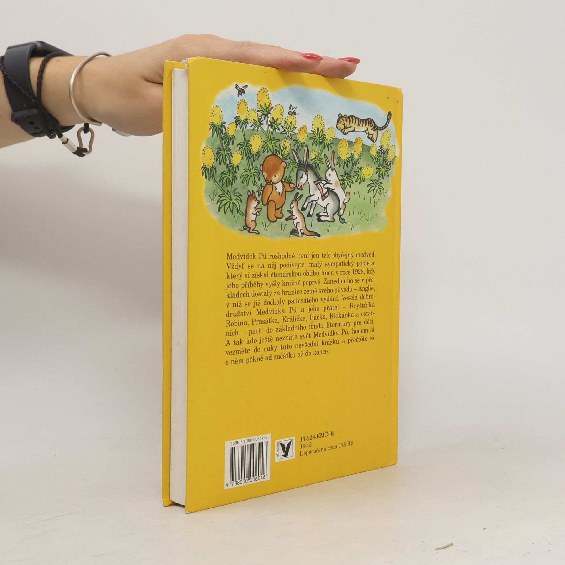A. A. Milne Medvídek Pú