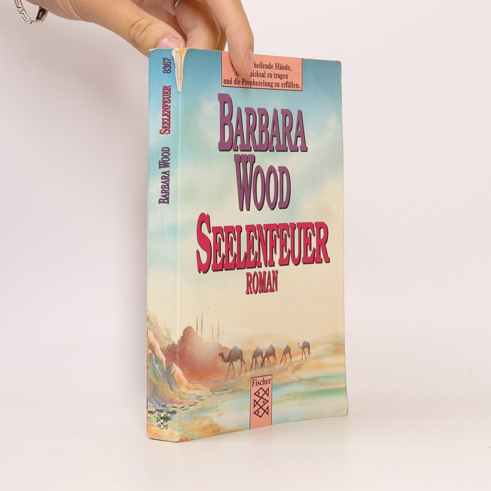 Barbara Wood Seelenfeuer