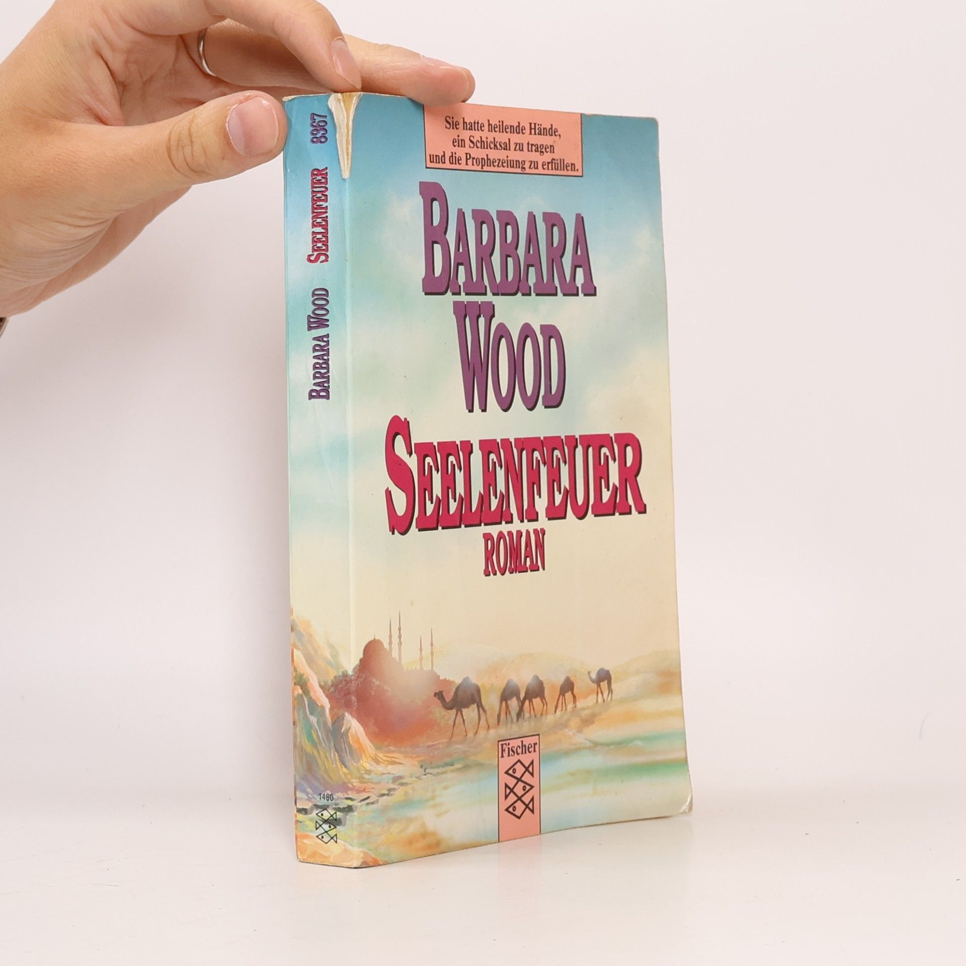 Barbara Wood Seelenfeuer
