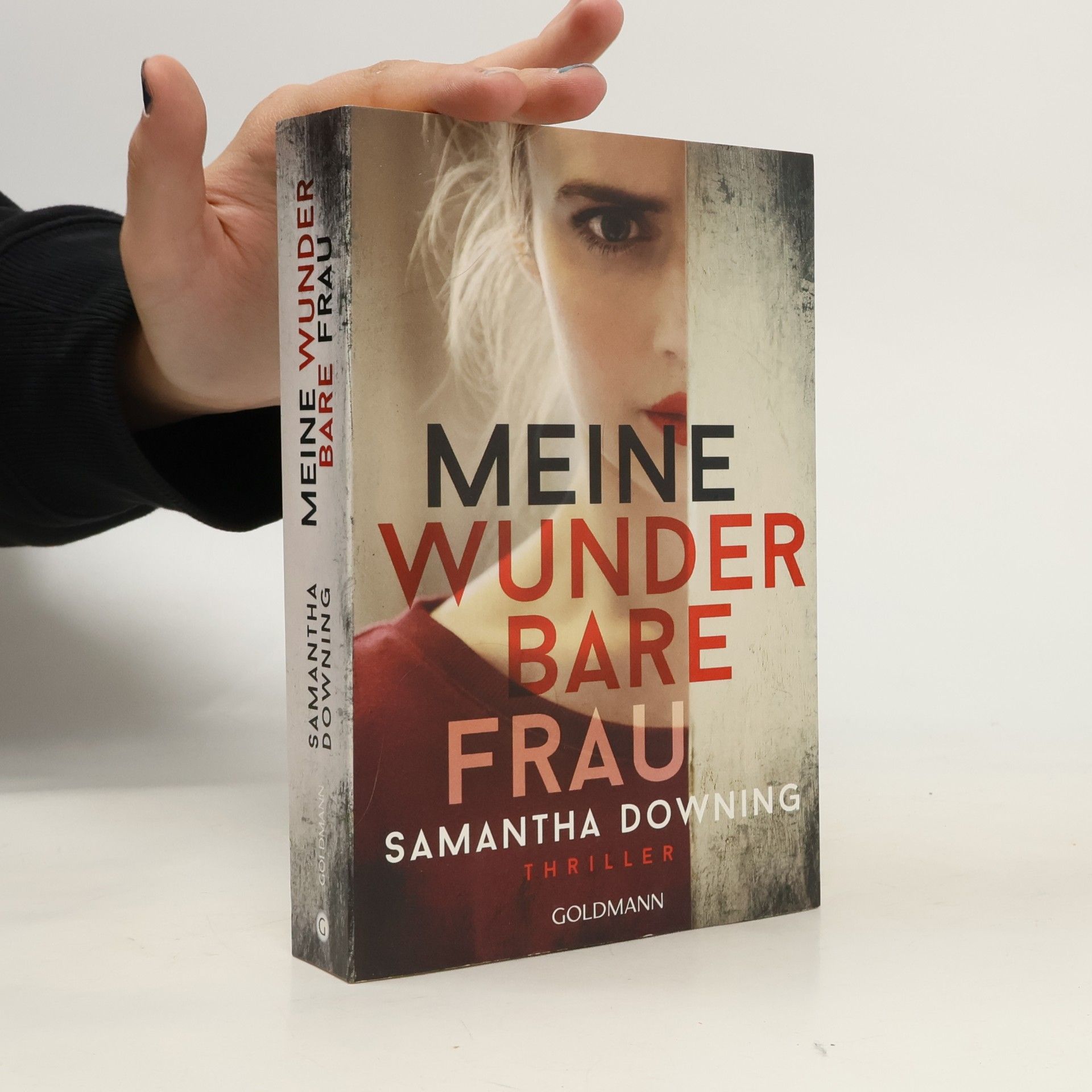Samantha Downing Meine wunderbare Frau