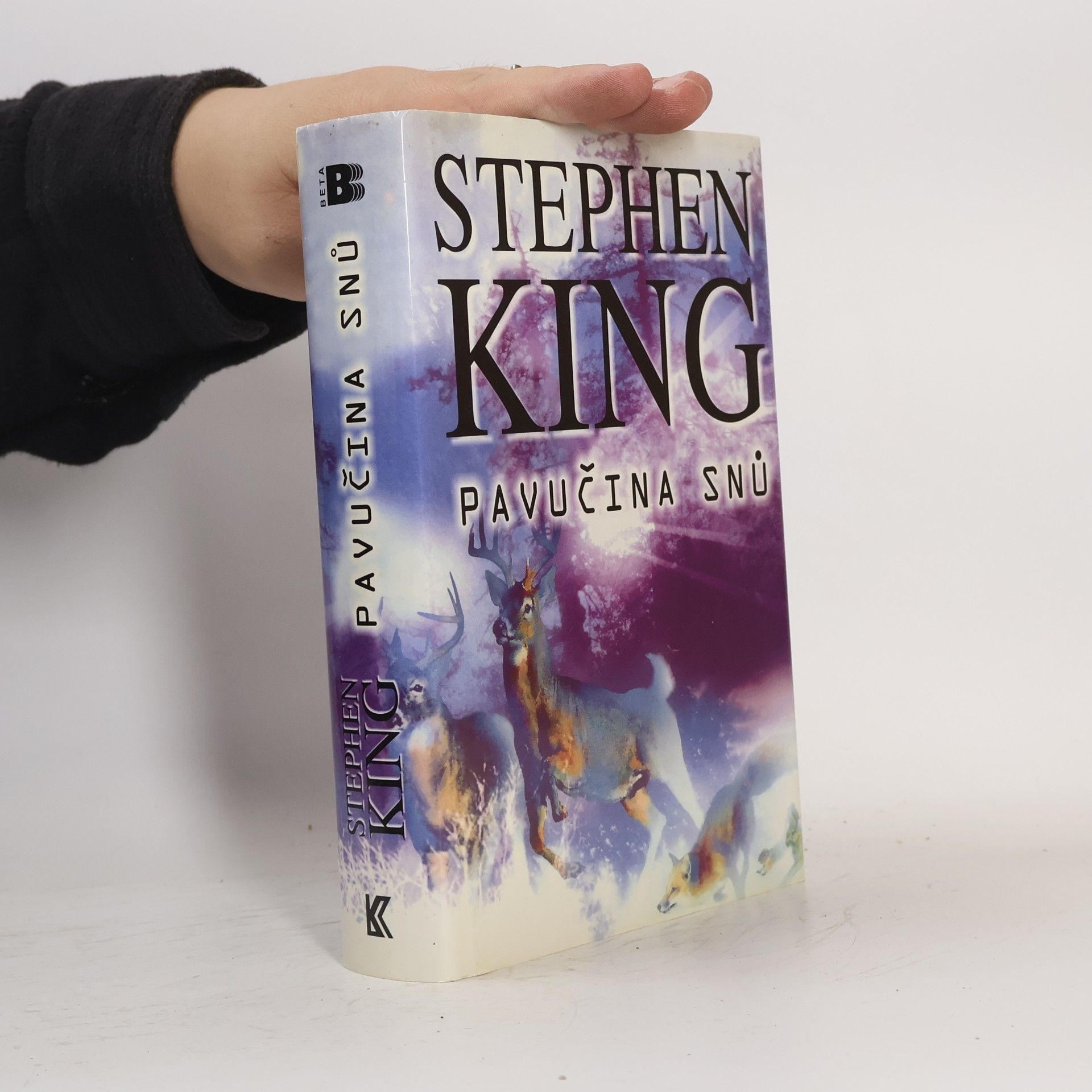 Stephen King Pavučina snů
