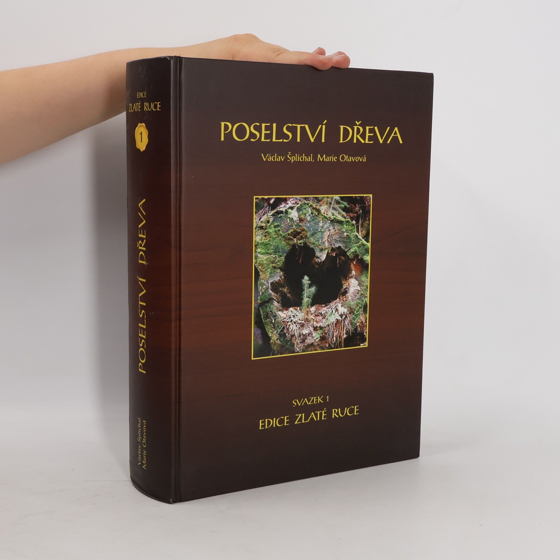 Václav Šplíchal Poselství dřeva