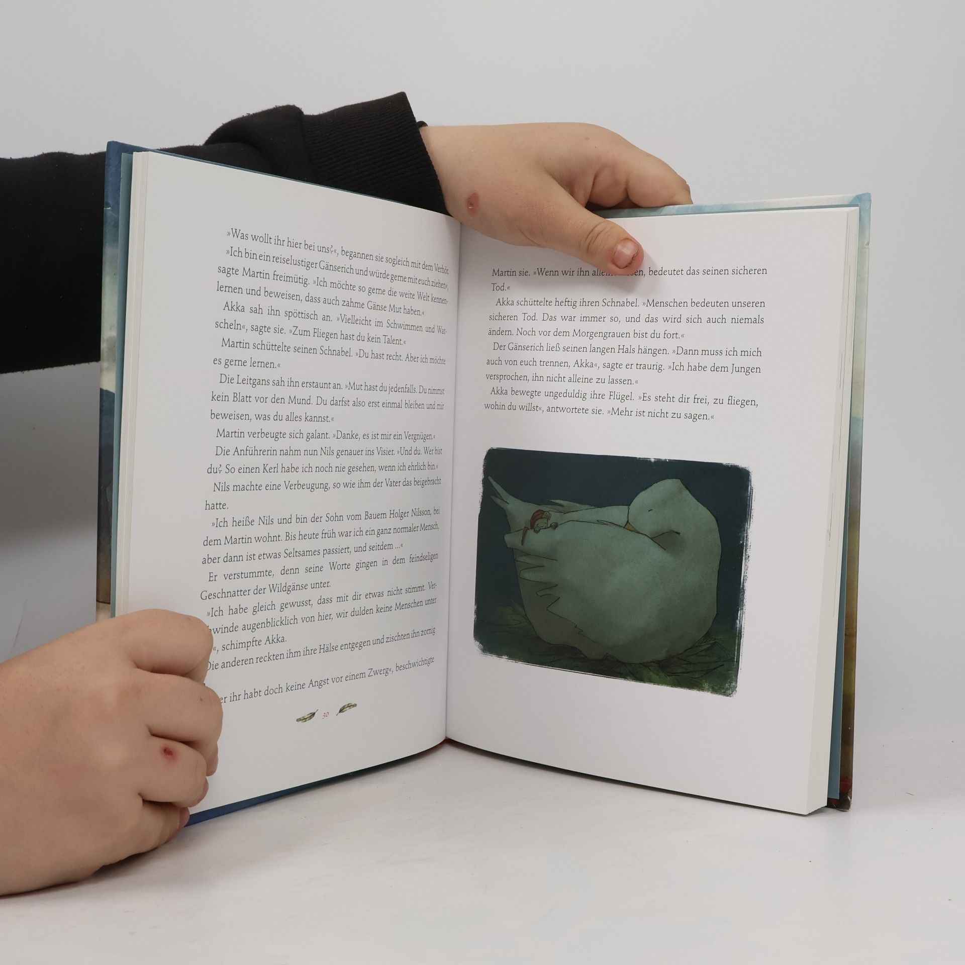 Usch Luhn Klassiker zum Vorlesen - Nils Holgersson