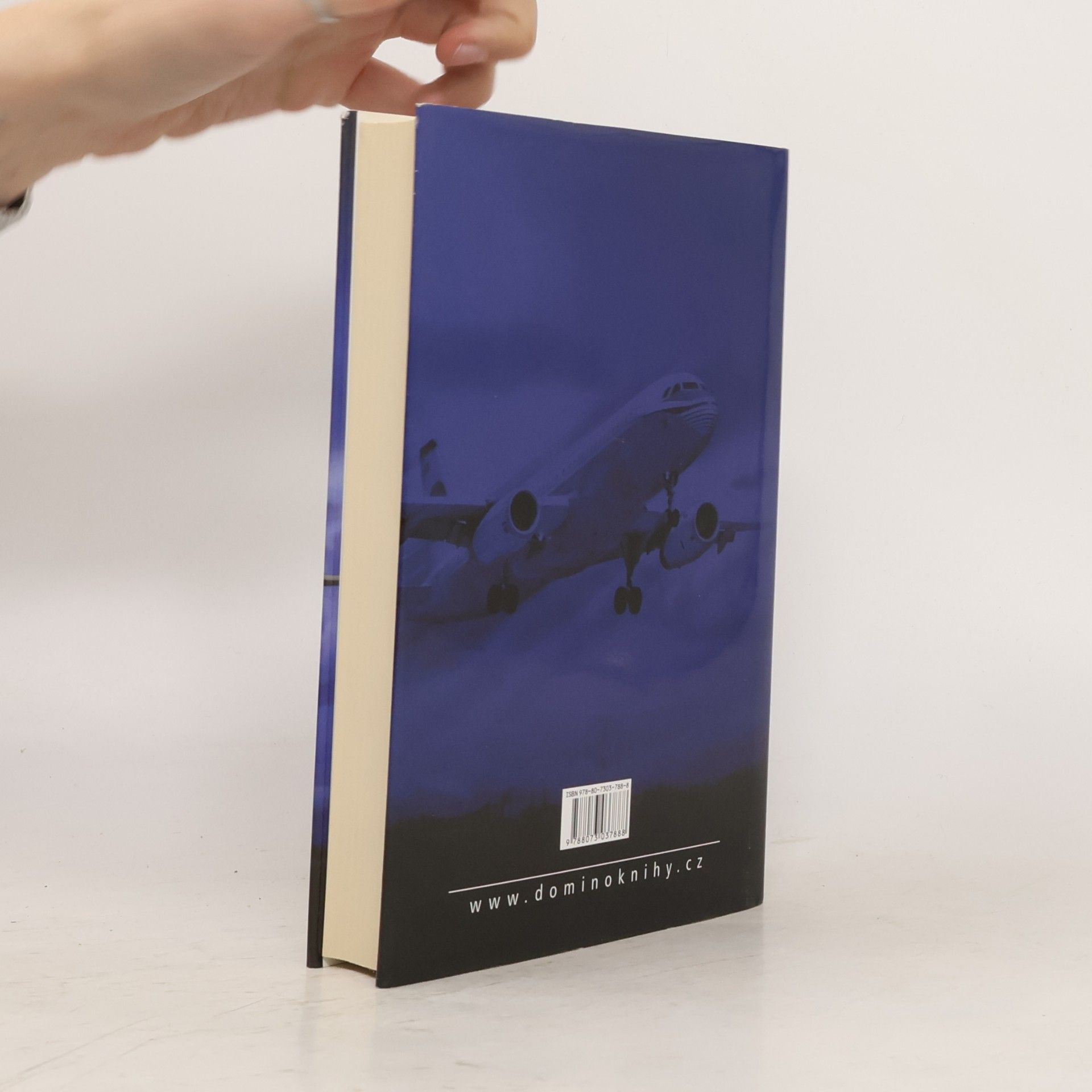 Robert Ludlum Matlockovo pověření
