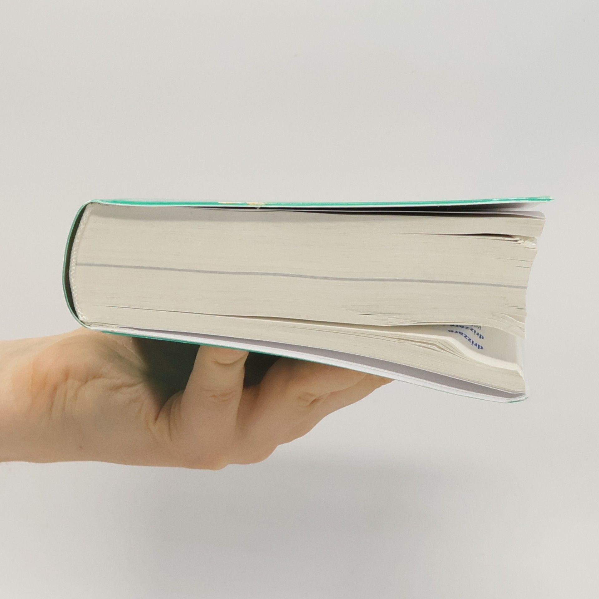 Anna Dal Negro PONS Standardwörterbuch