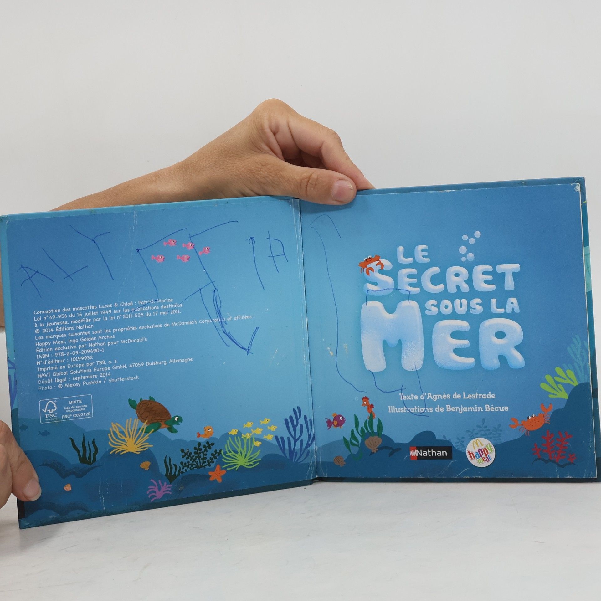 Agne s. de Lestrade Le secret sous la mer