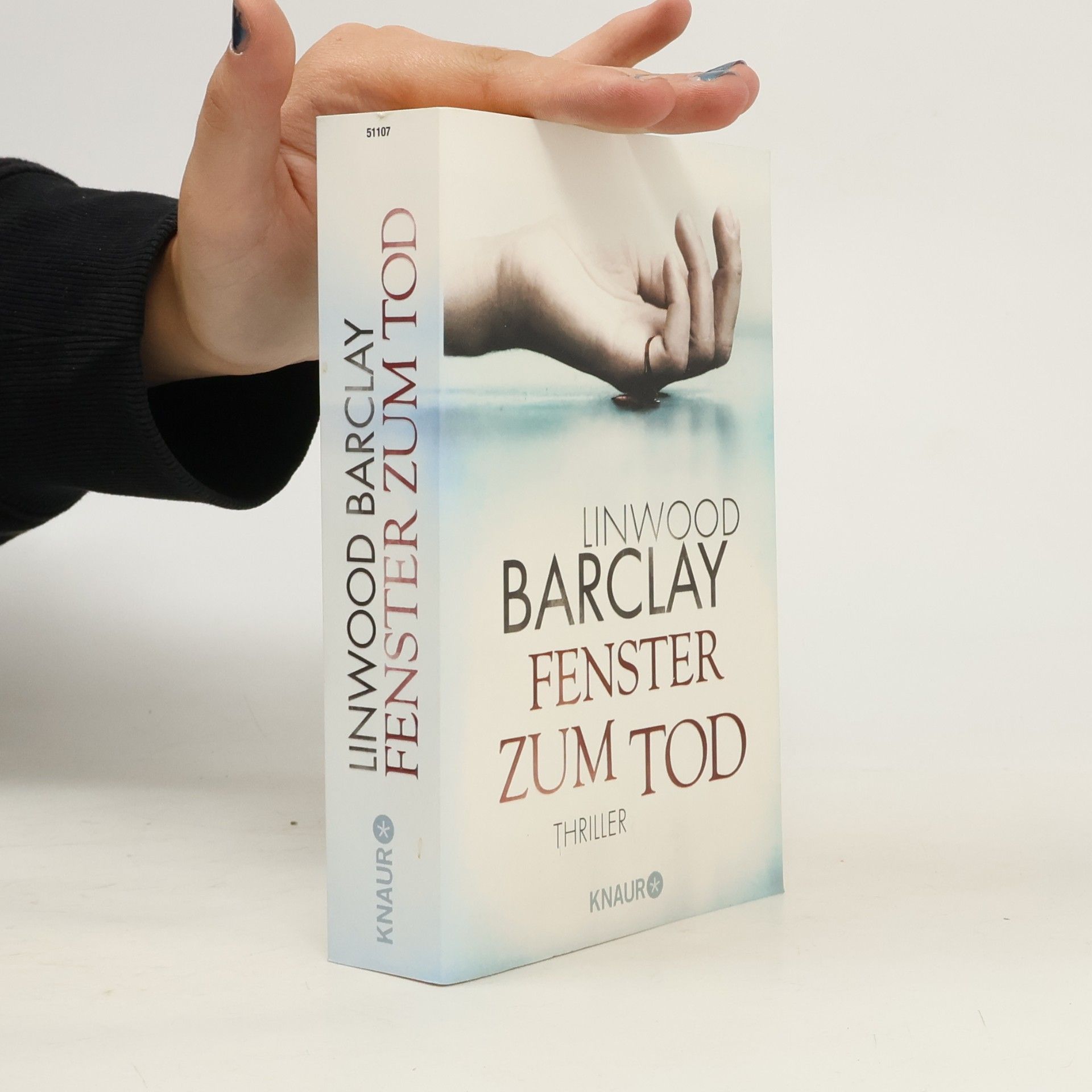 Linwood Barclay Fenster zum Tod