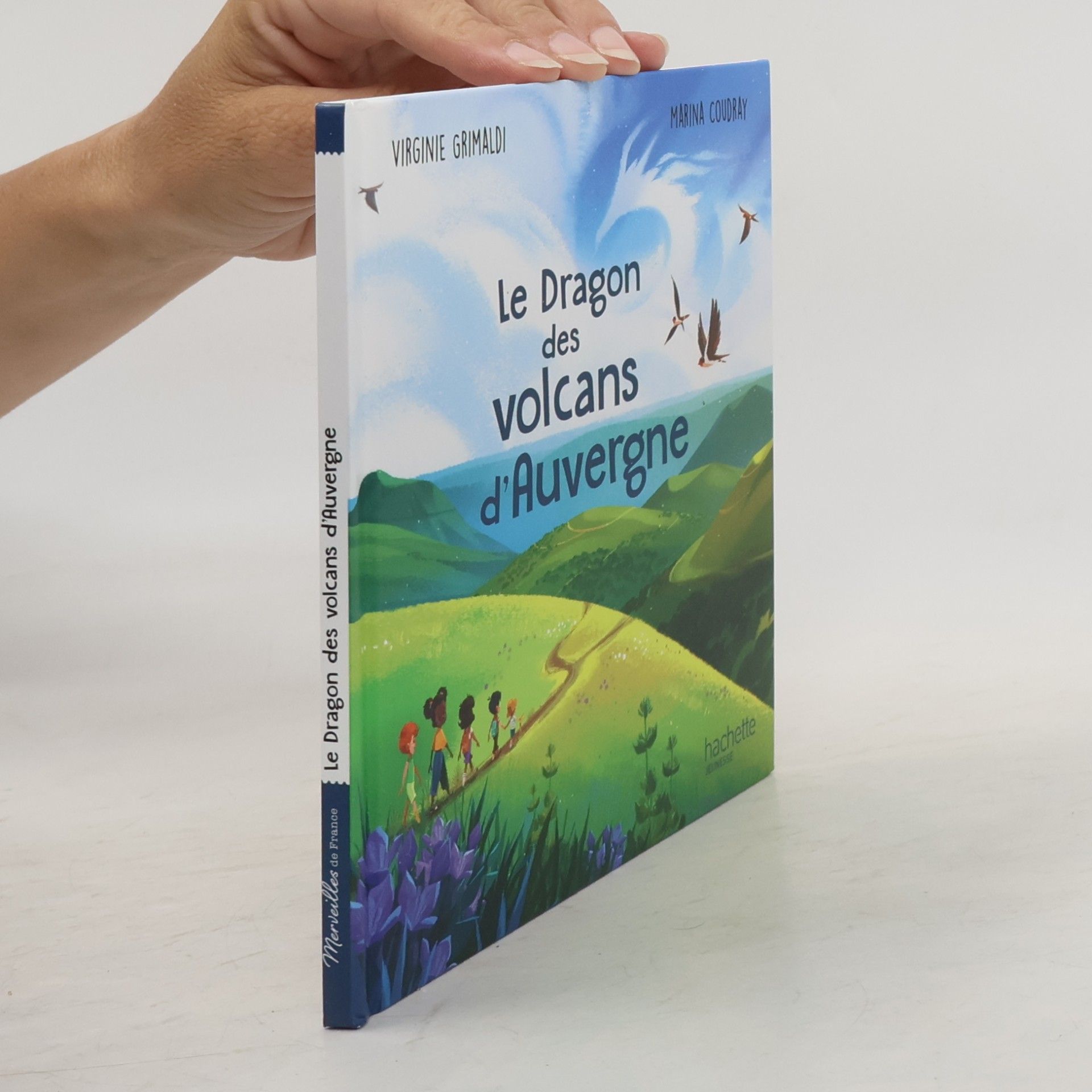 Le dragon des volcans d'Auvergne
