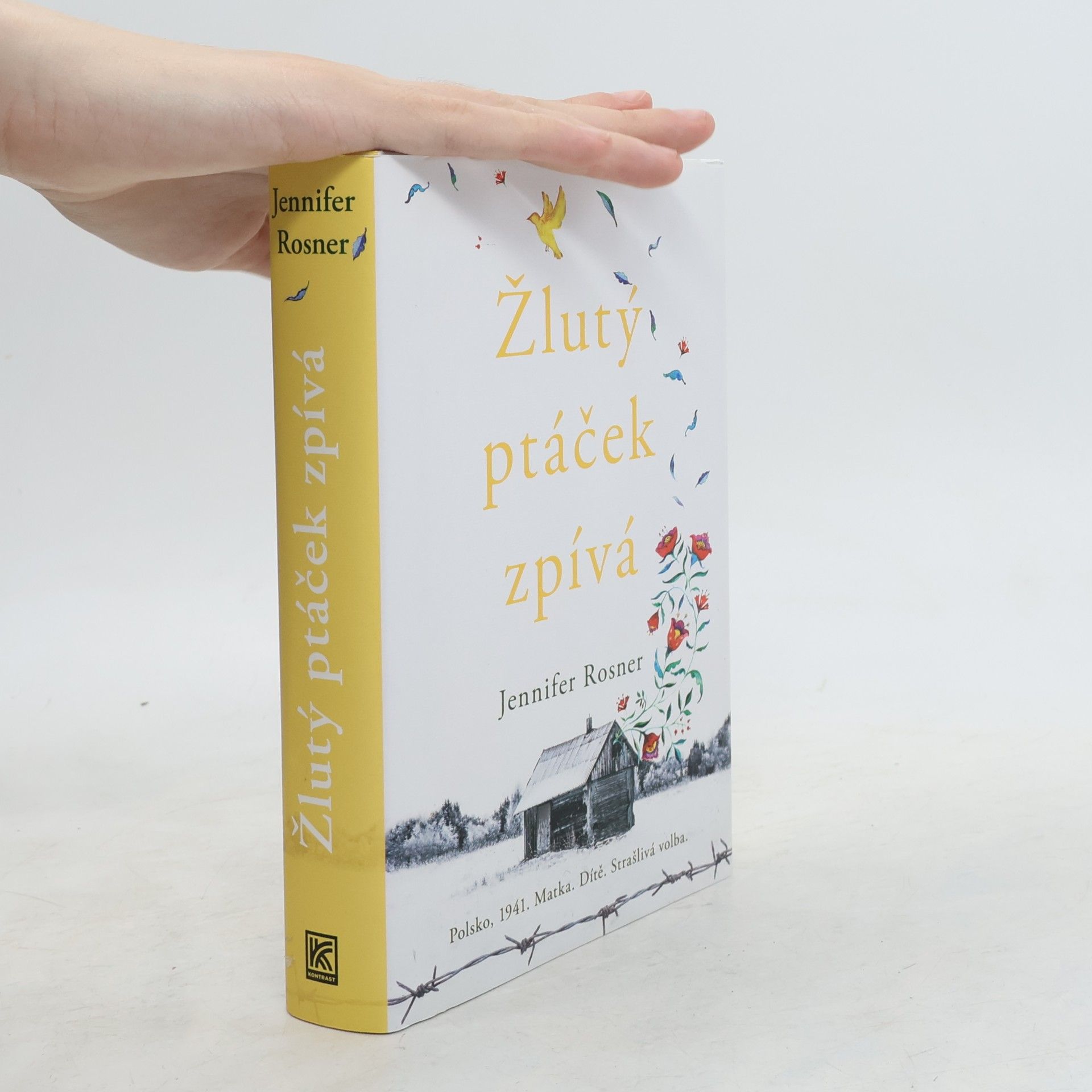Jennifer Rosner Žlutý ptáček zpívá