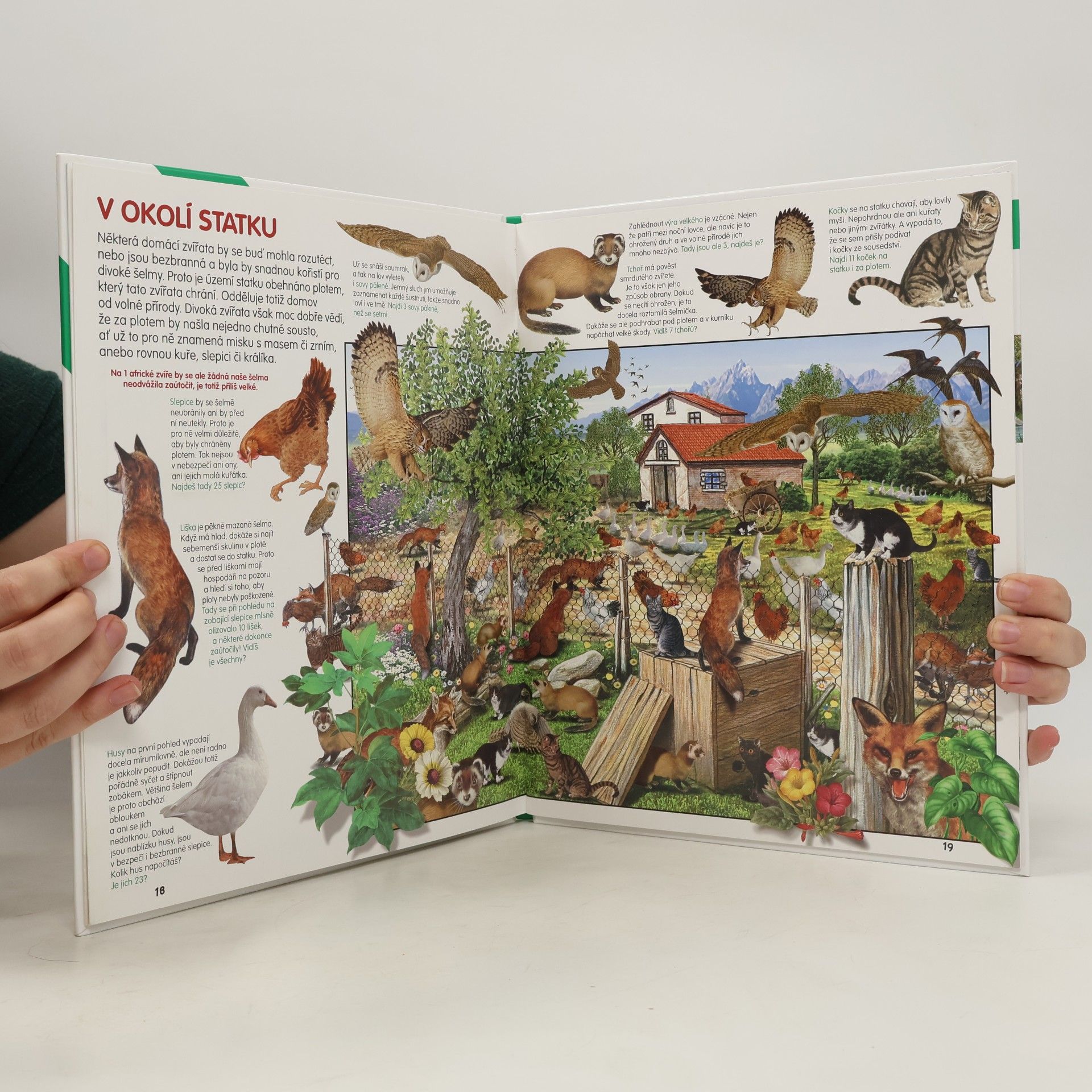 Various authors Zvířata na statku - Hledej a objevuj