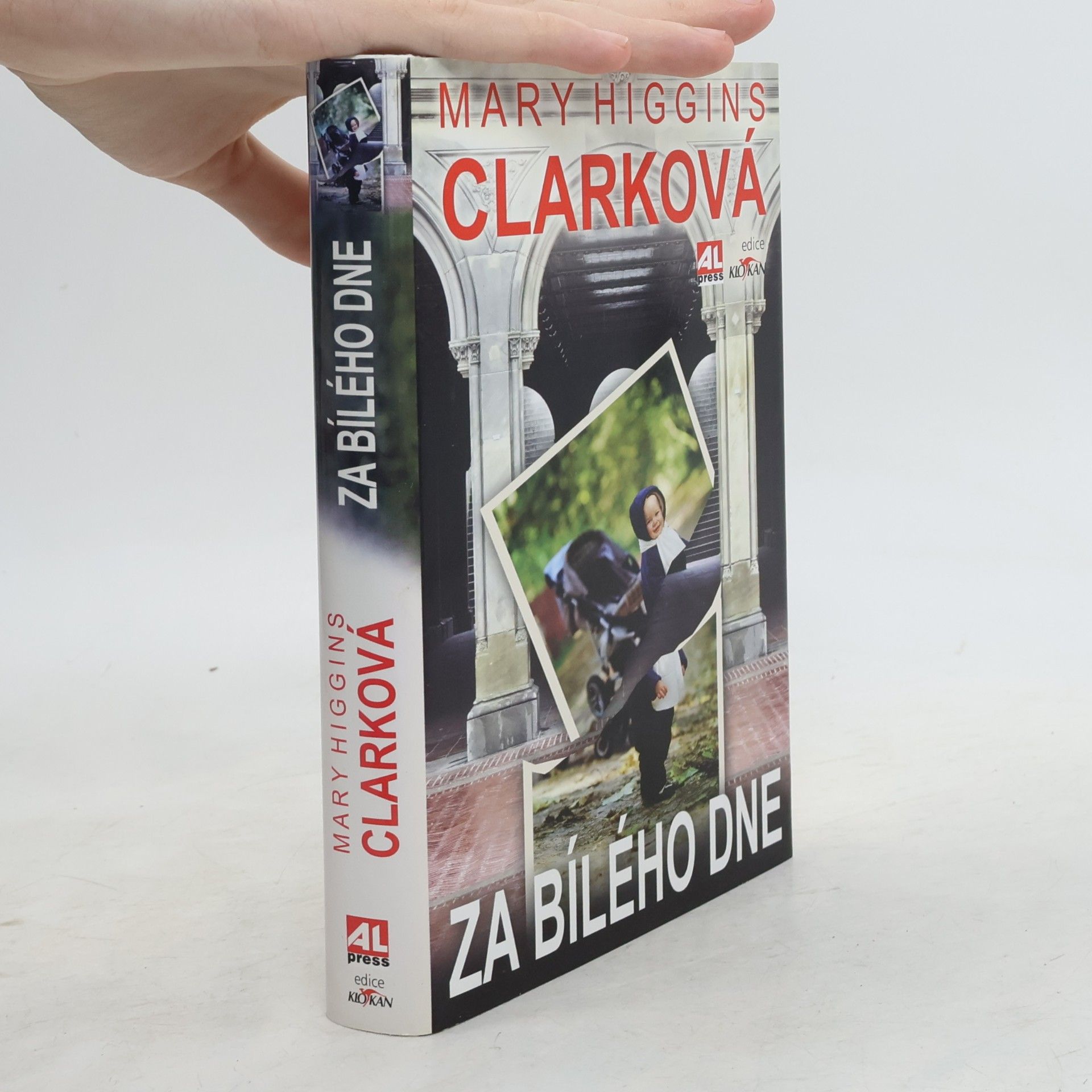 Mary Higgins Clark Za bílého dne