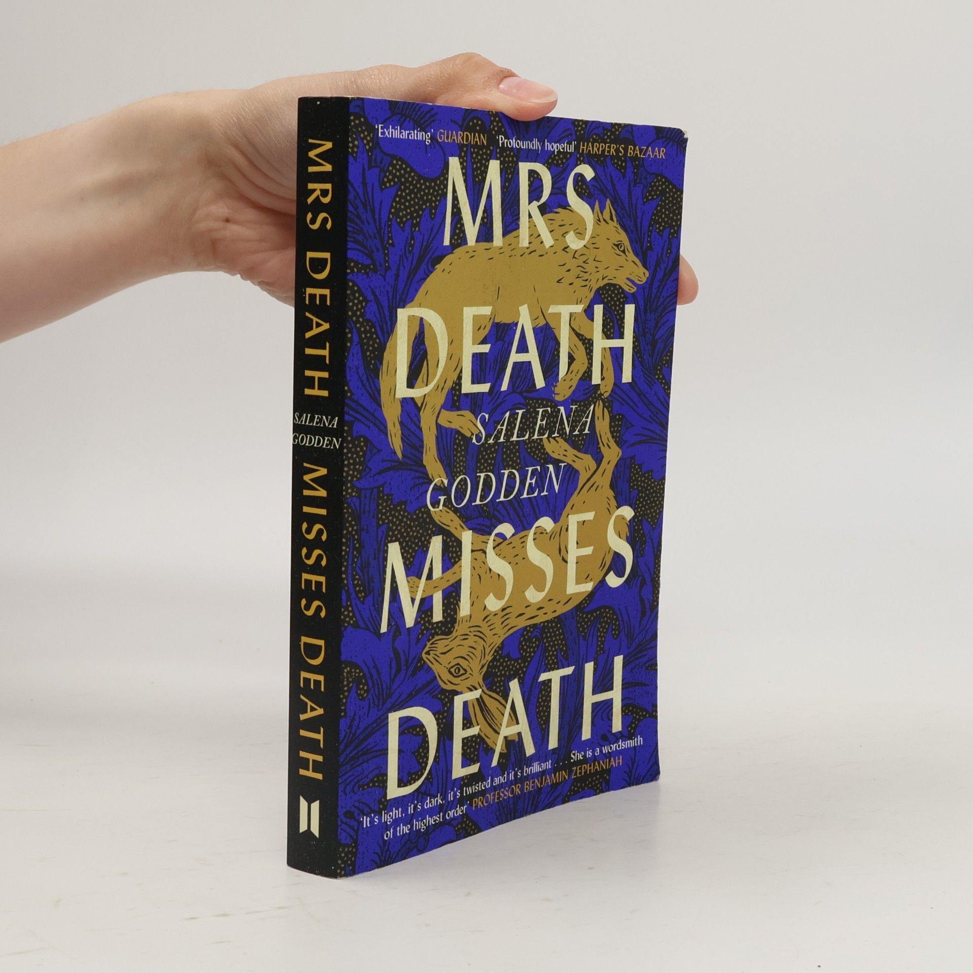 Salena Godden Mrs Death Misses Death
