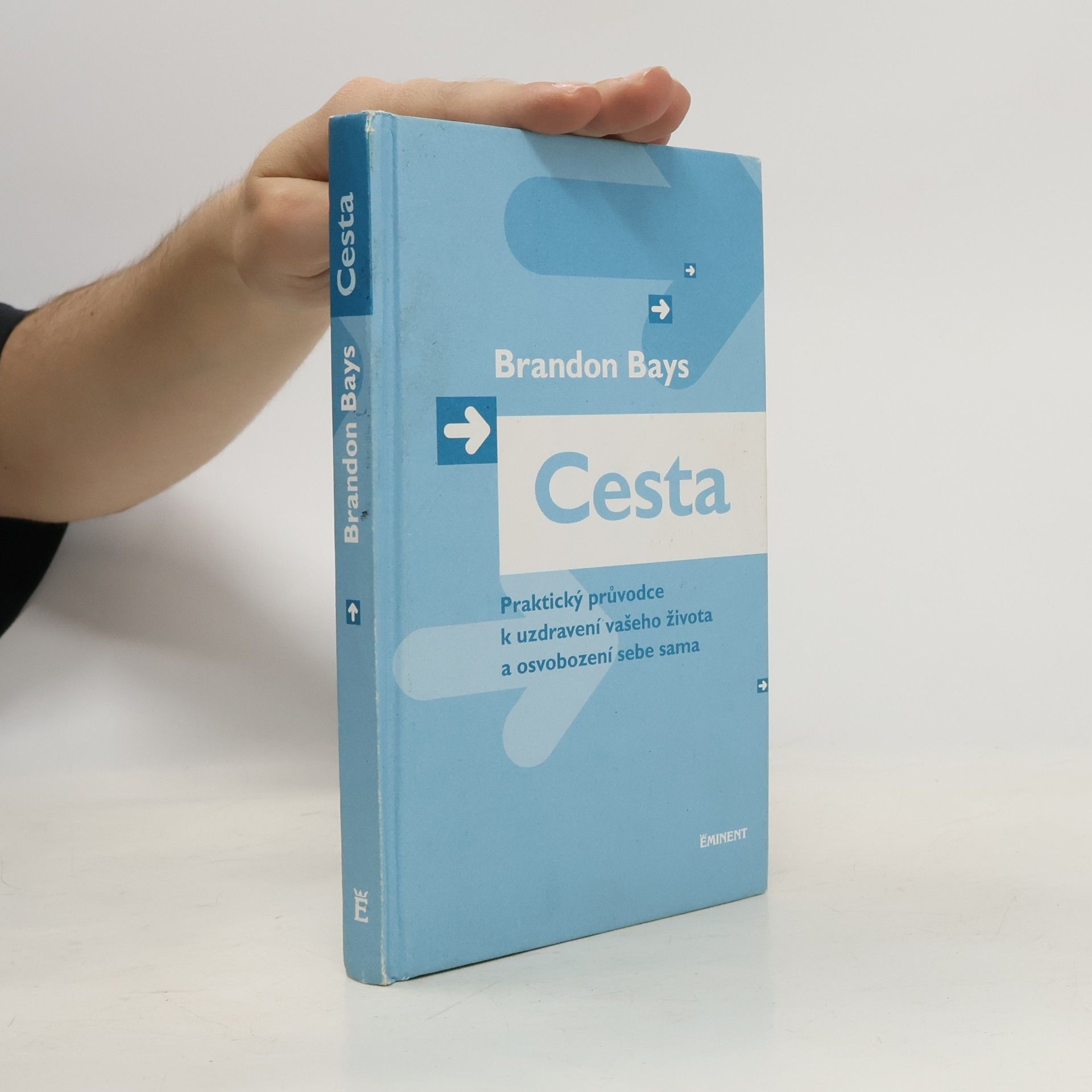 Brandon Bays Cesta