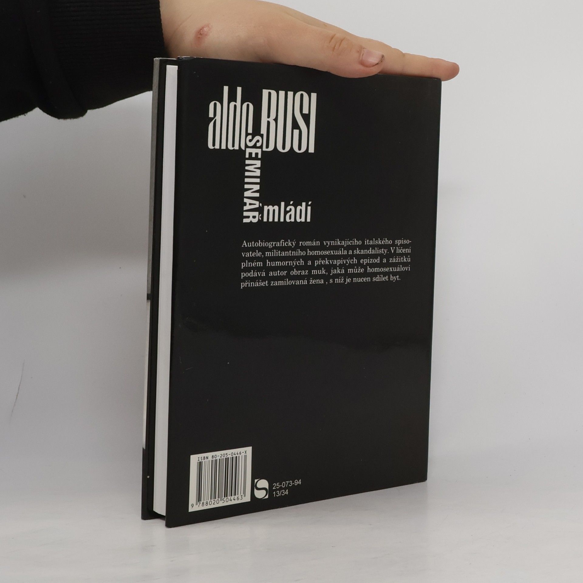 Aldo Busi Seminář mládí. Zpověď homosexuála, který je nucen žít se ženou