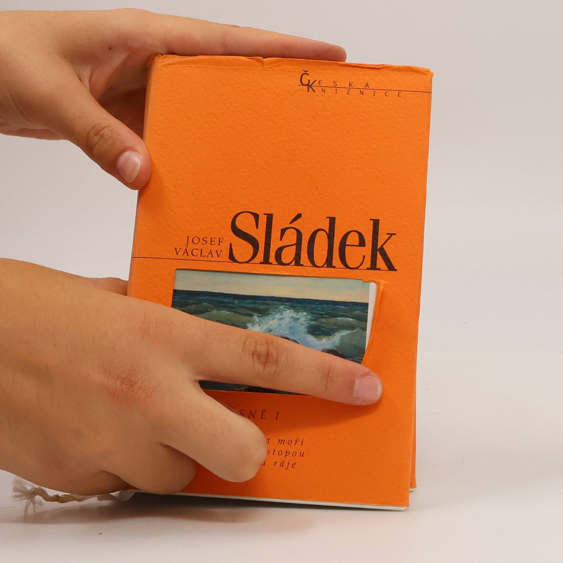 Josef Václav Sládek Básně I