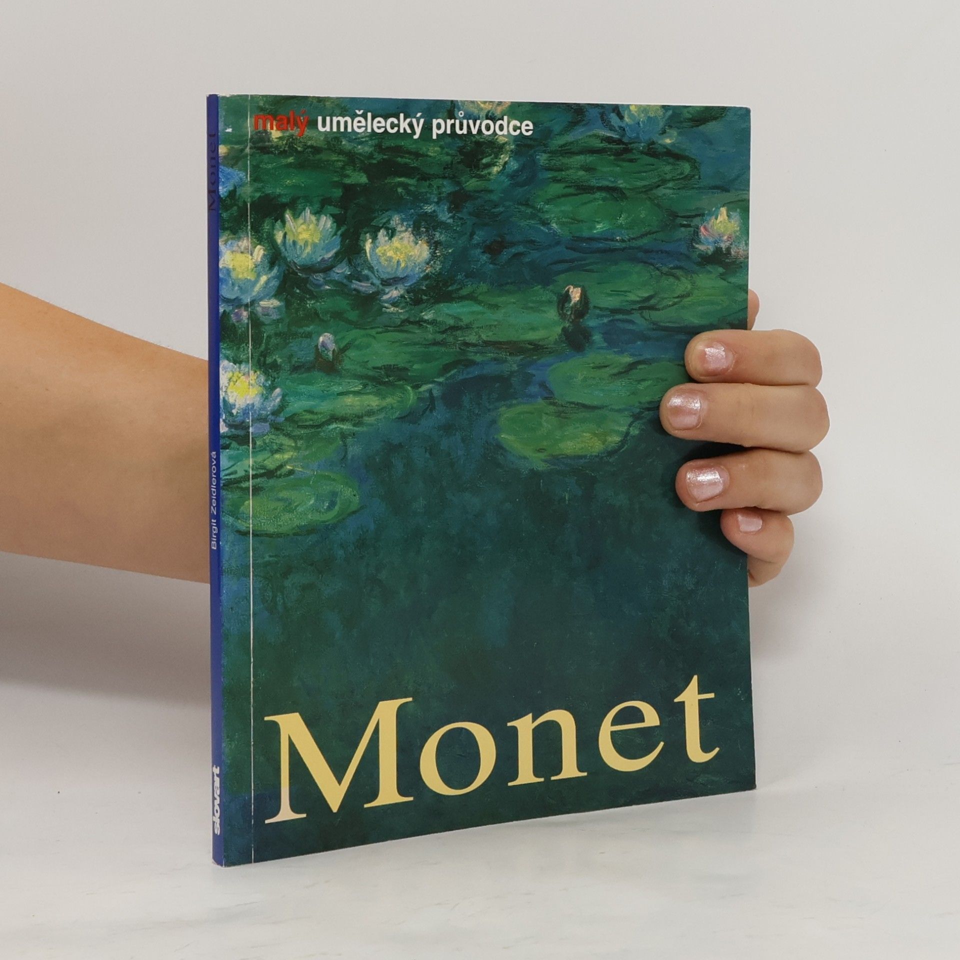 Birgit Zeidler Monet