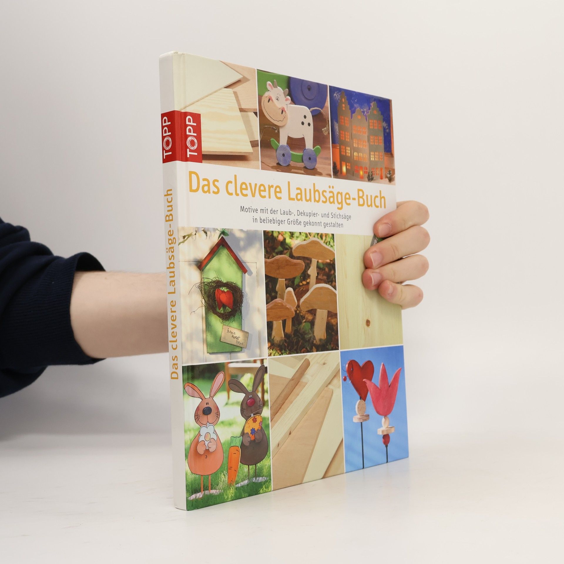 Kolektiv autorů Das clevere Laubsäge-Buch