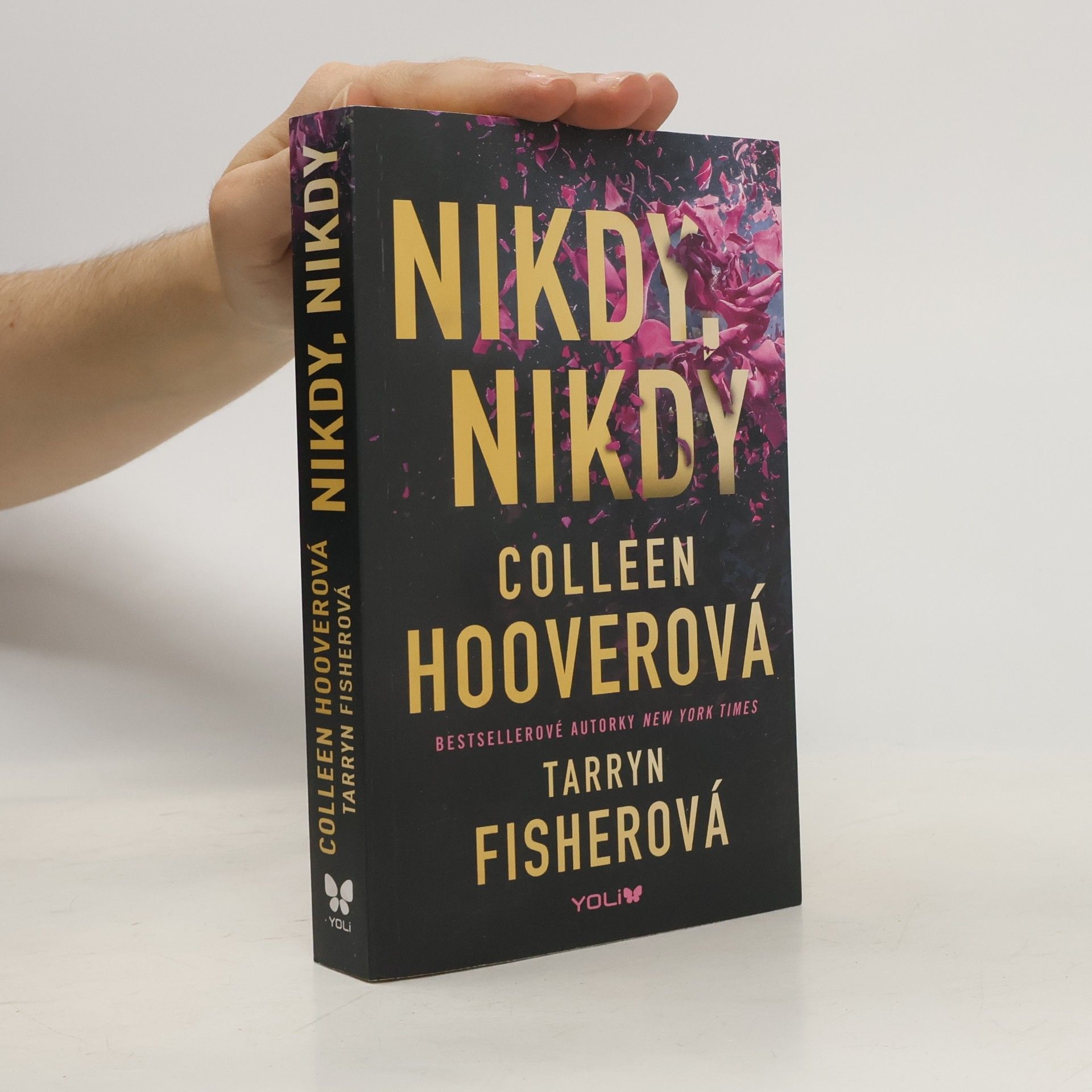 Colleen Hoover Nikdy, nikdy