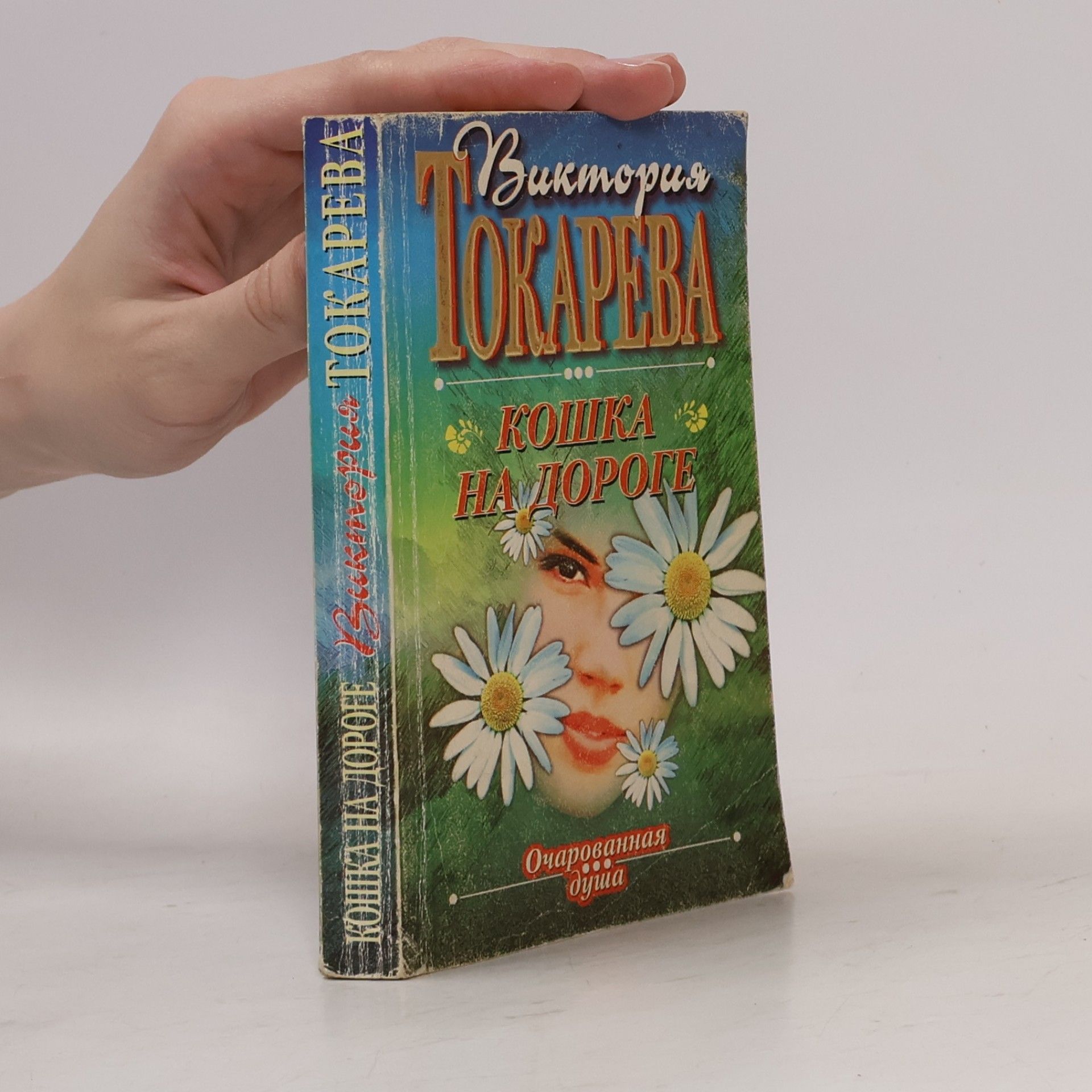 Очарованная душа: Кошка на дороге