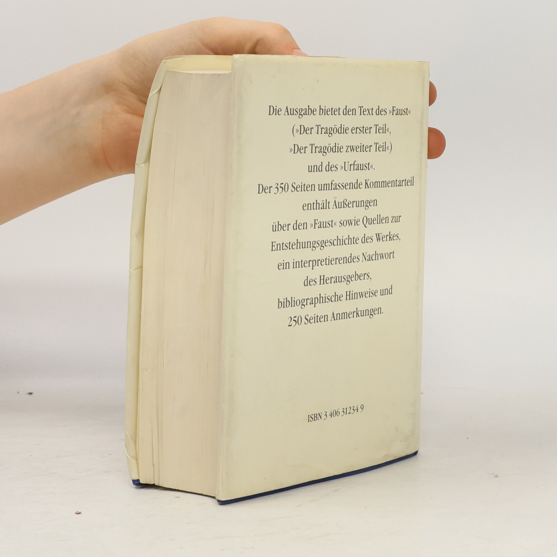 Johann Wolfgang von Goethe Faust