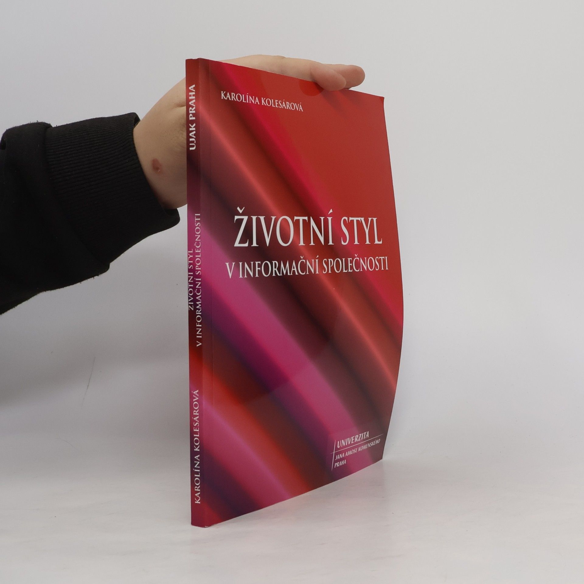 Karolína Kolesárová Životní styl v informační společnosti