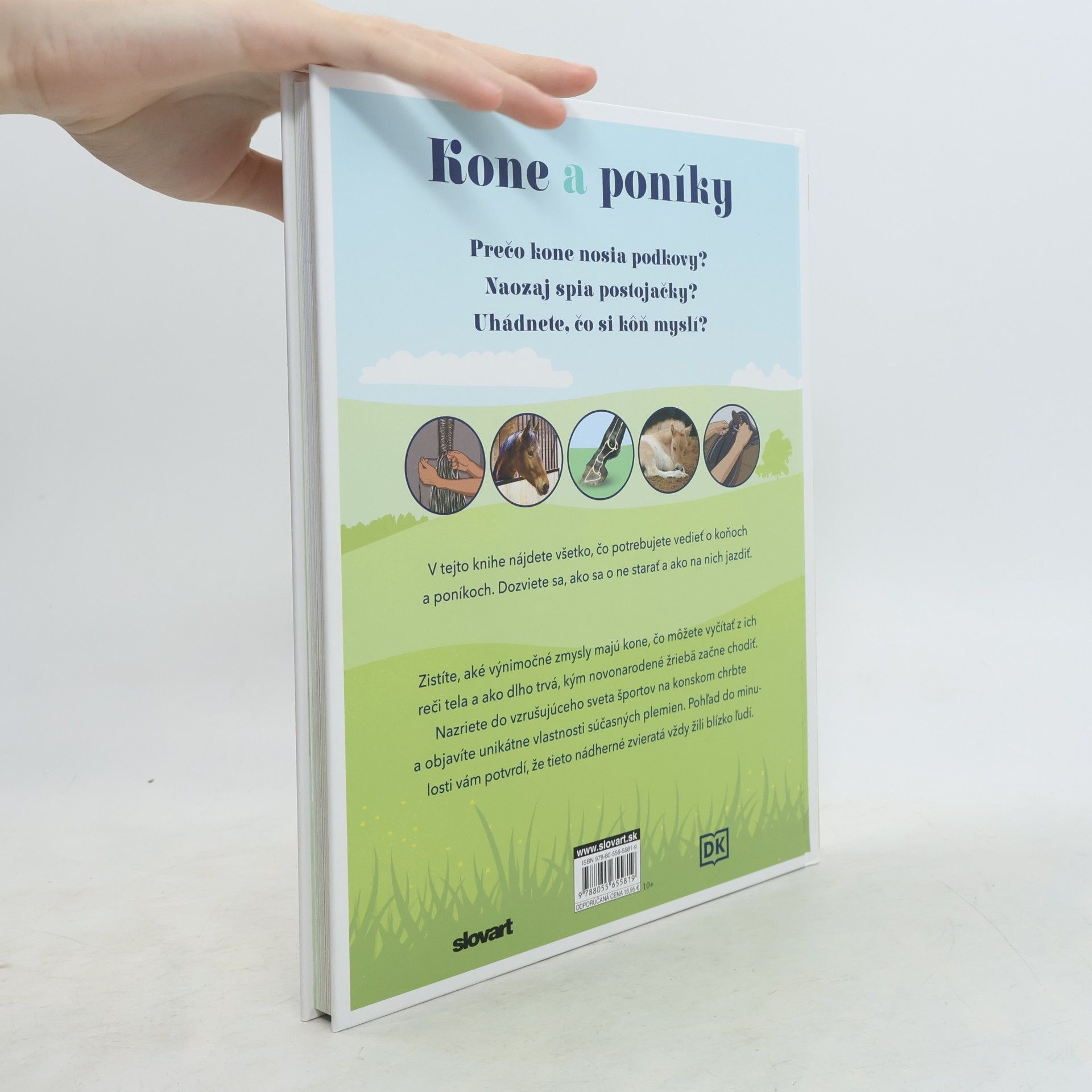 kolektiv Kone a poníky