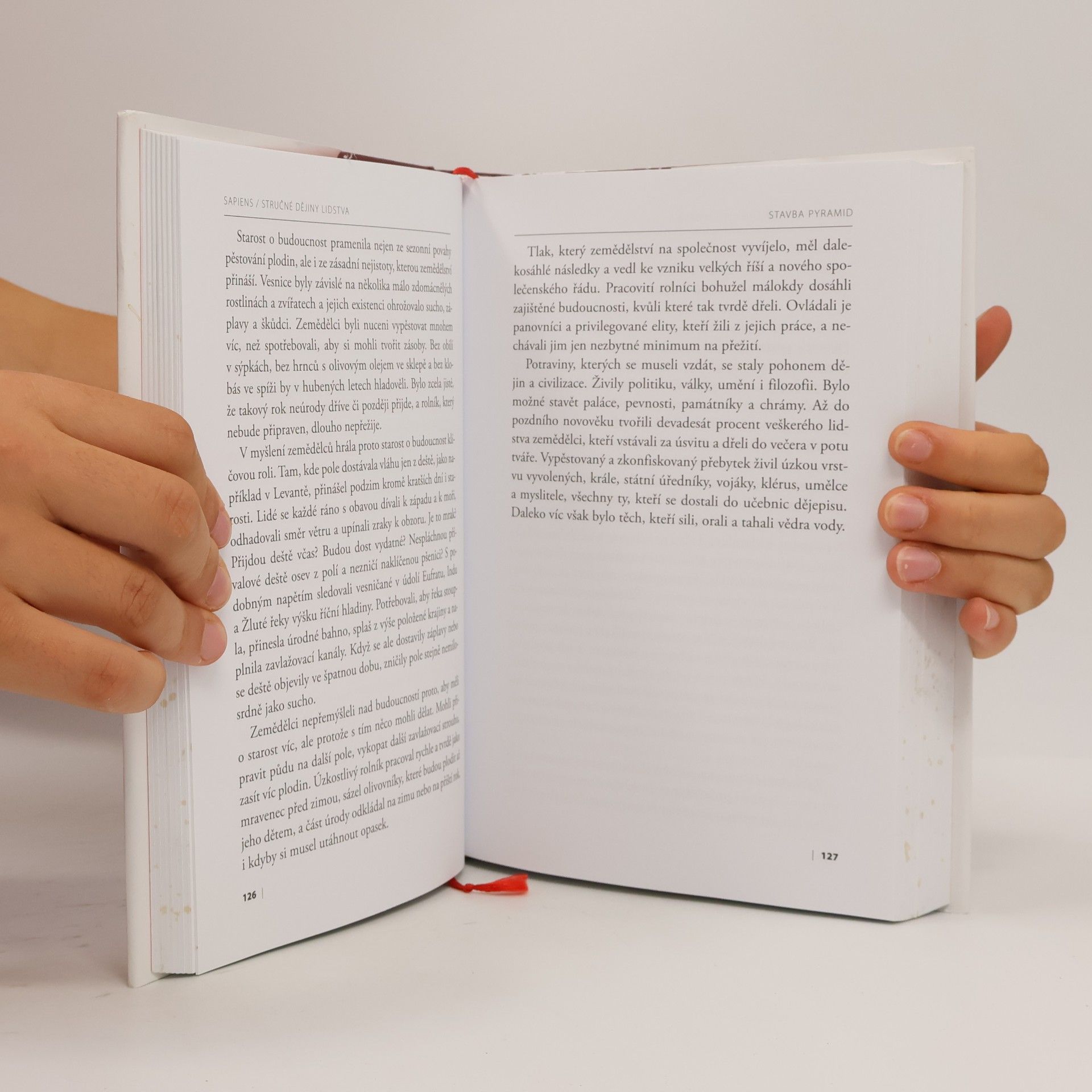 Yuval Noah Harari Sapiens: Stručné dějiny lidstva