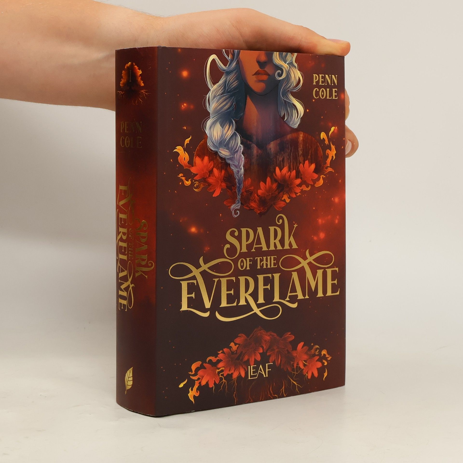 Penn Cole Spark of the Everflame / Kindred´s Curse Saga Bd.1