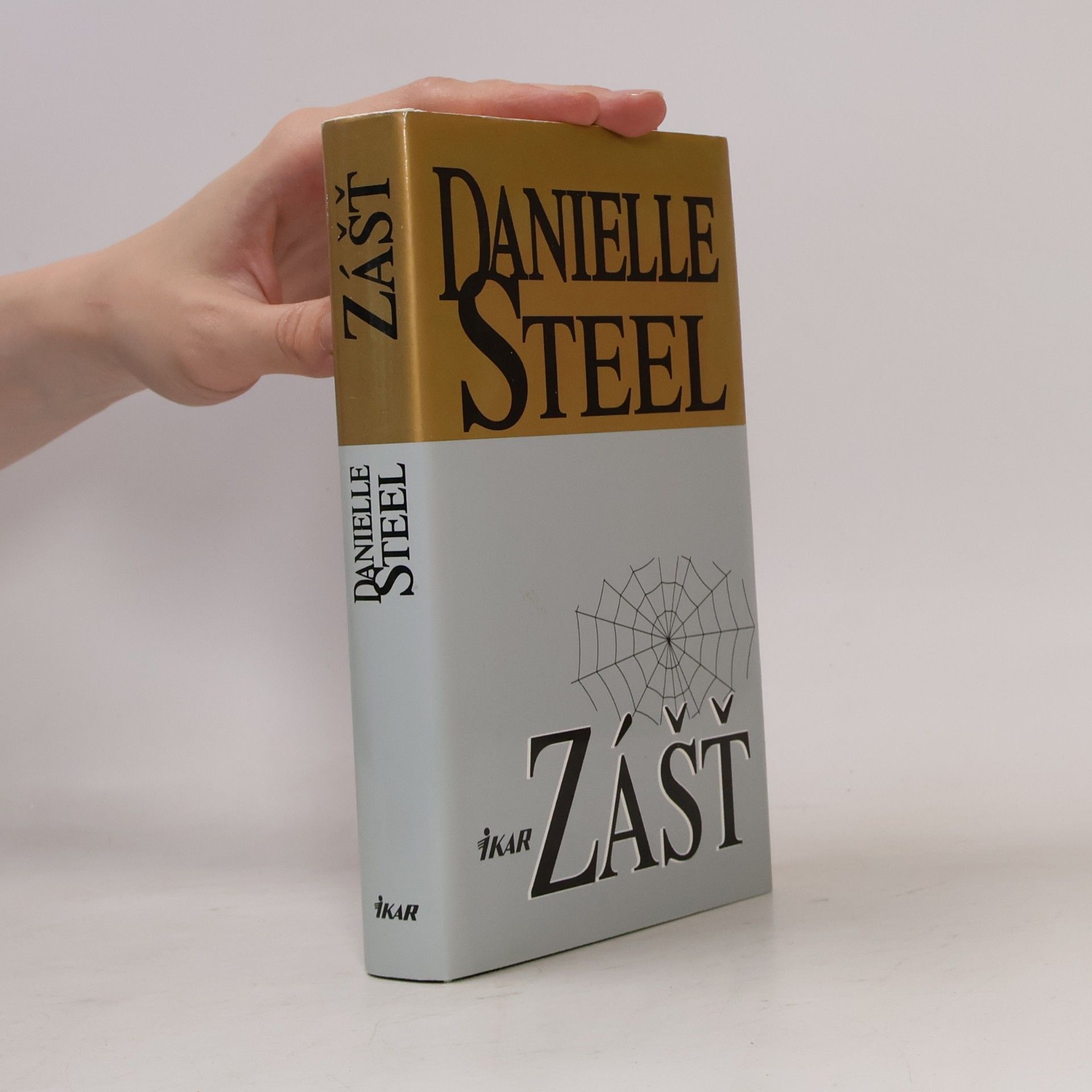 Danielle Steel Zášť