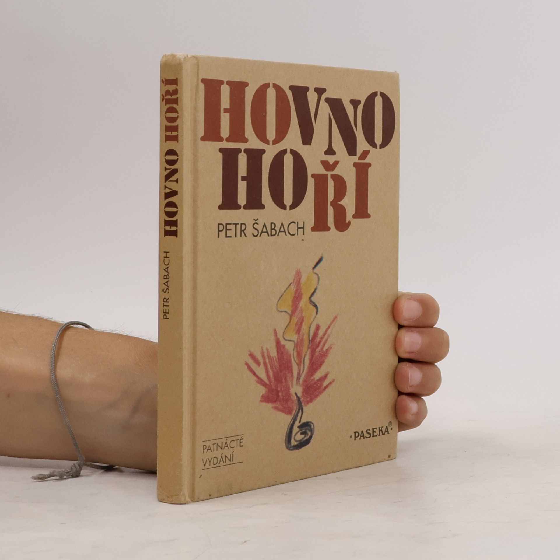 Petr Šabach Hovno hoří