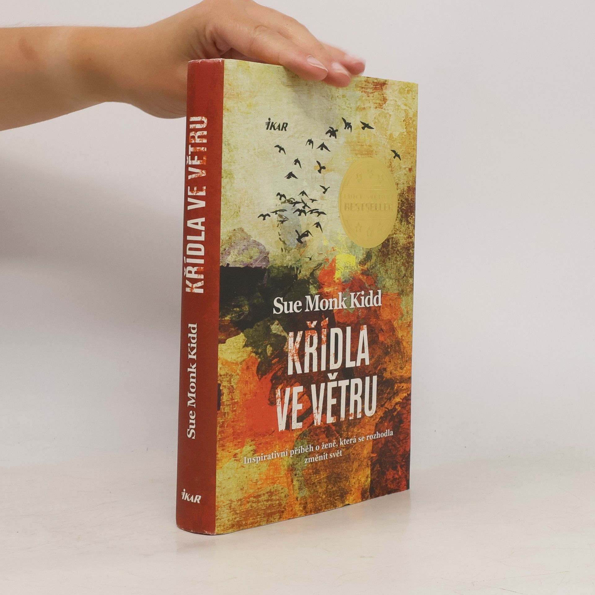 Sue Monk Kidd Křídla ve větru