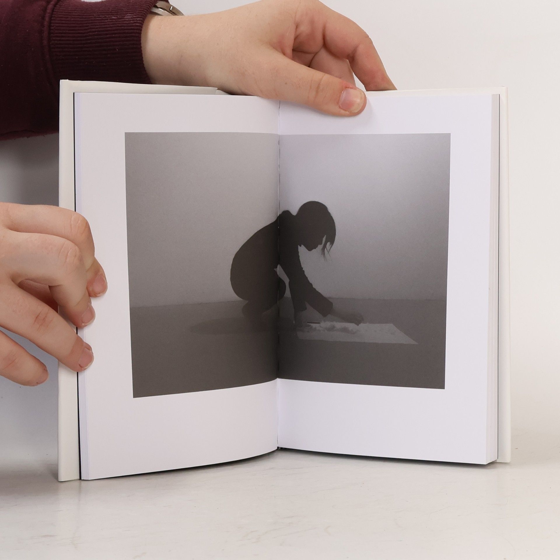 Han Kang The White Book