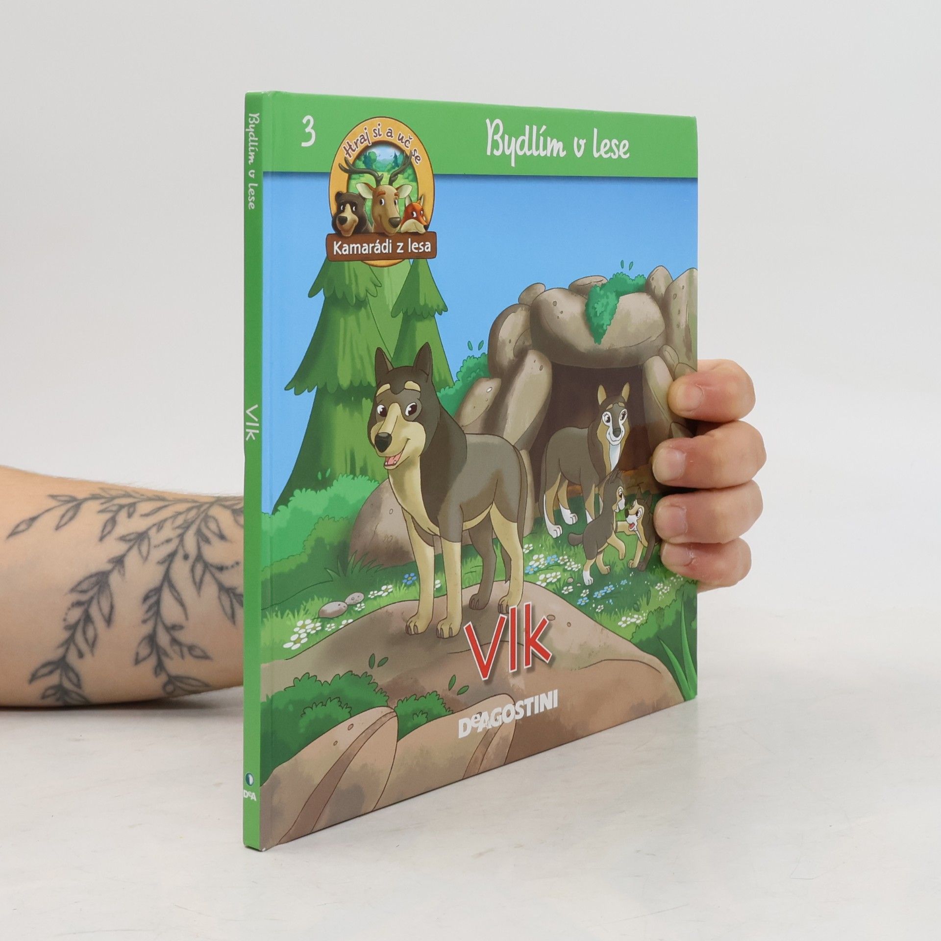 Autorenkollektiv Bydlím v lese 3. Vlk