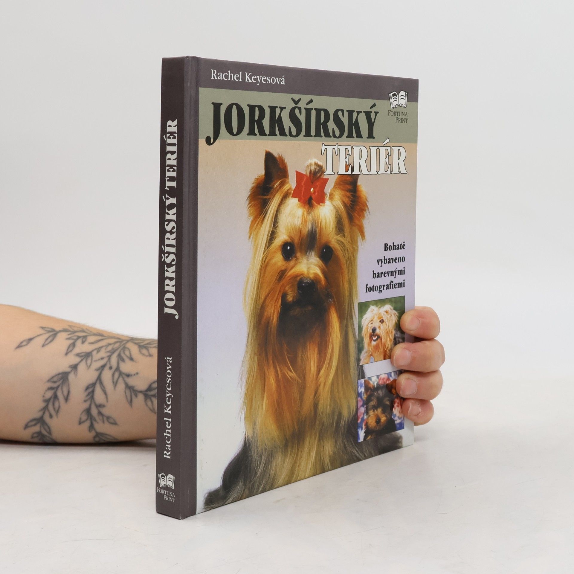 Rachel Keyes Jorkšírský teriér