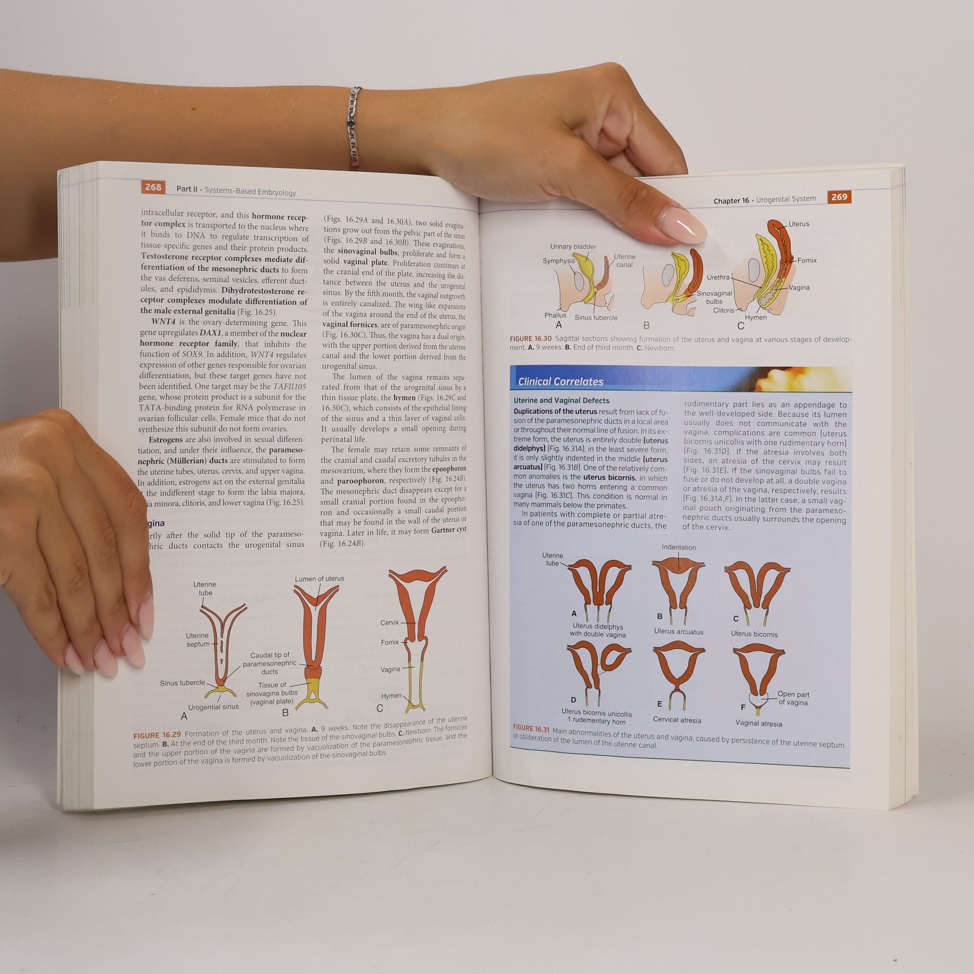 Thomas W. Sadler Langman's medical embryology