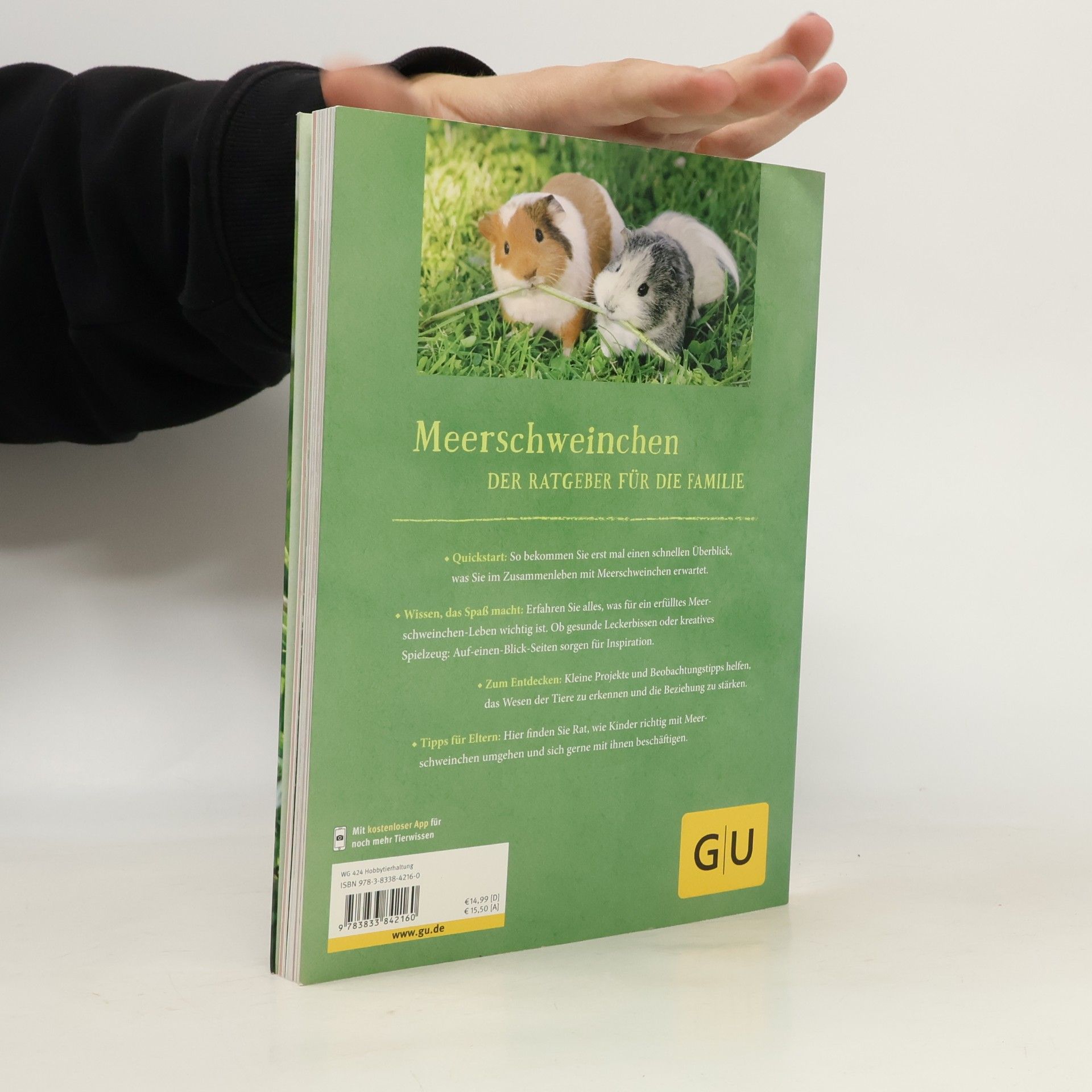 Immanuel Birmelin Neugierige Meerschweinchen : so fühlen sie sich wohl