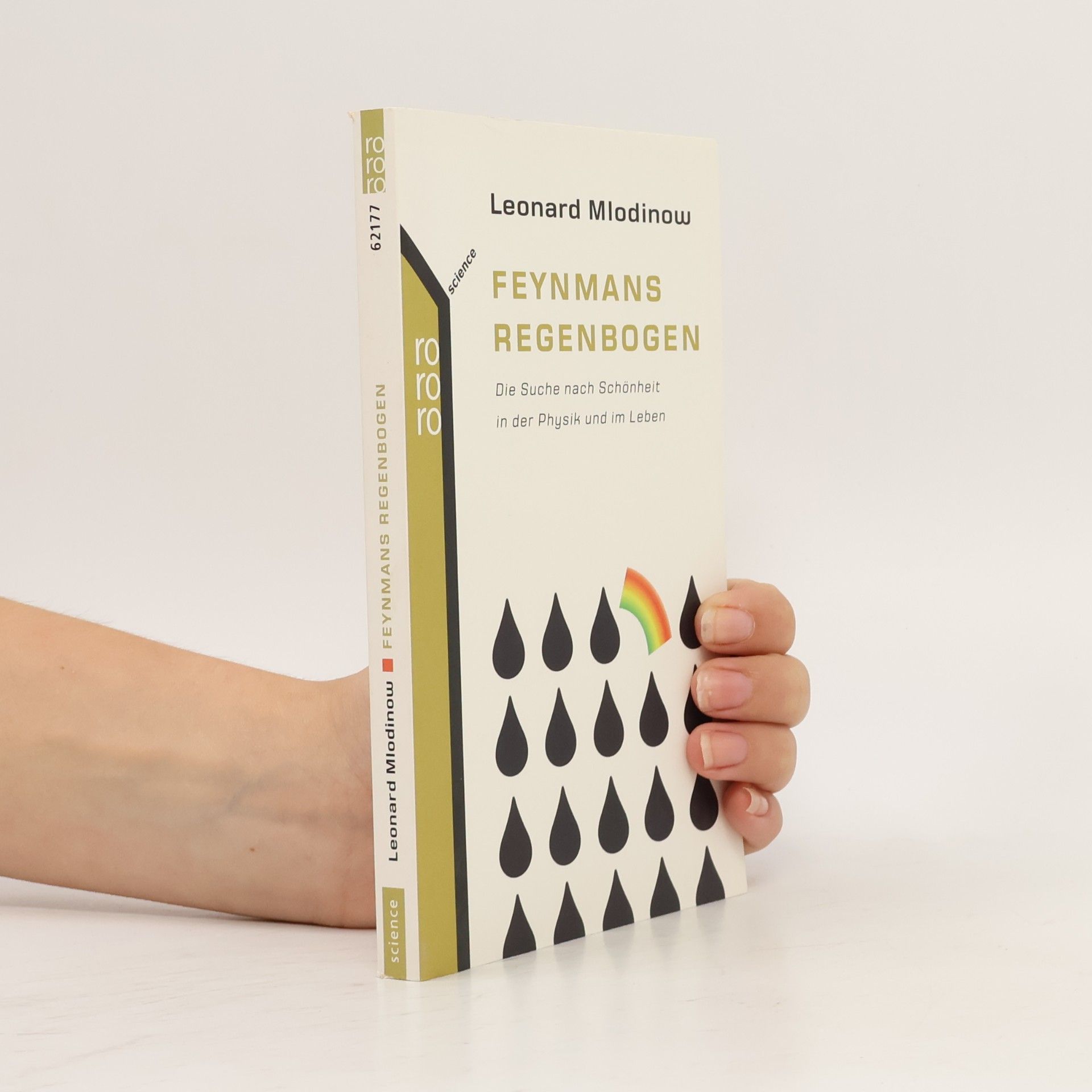 Leonard Mlodinow Feynmans Regenbogen