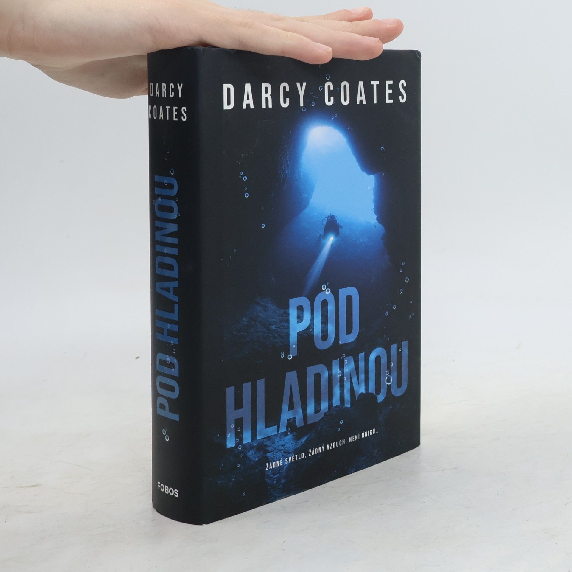 Darcy Coates Pod hladinou