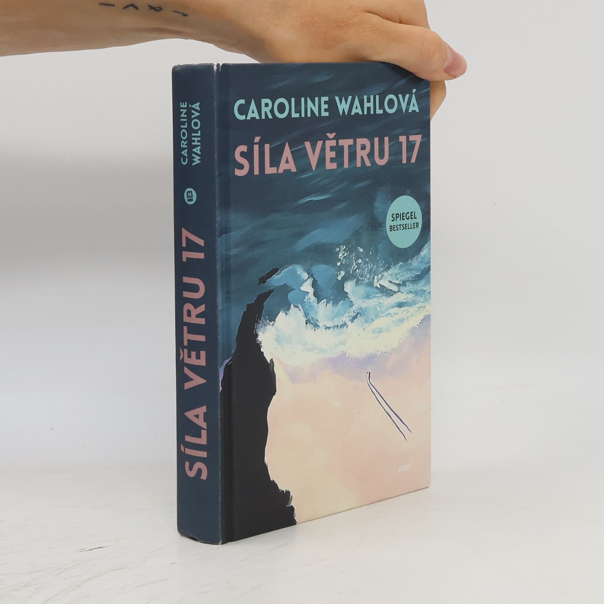 Caroline Wahl Síla větru 17