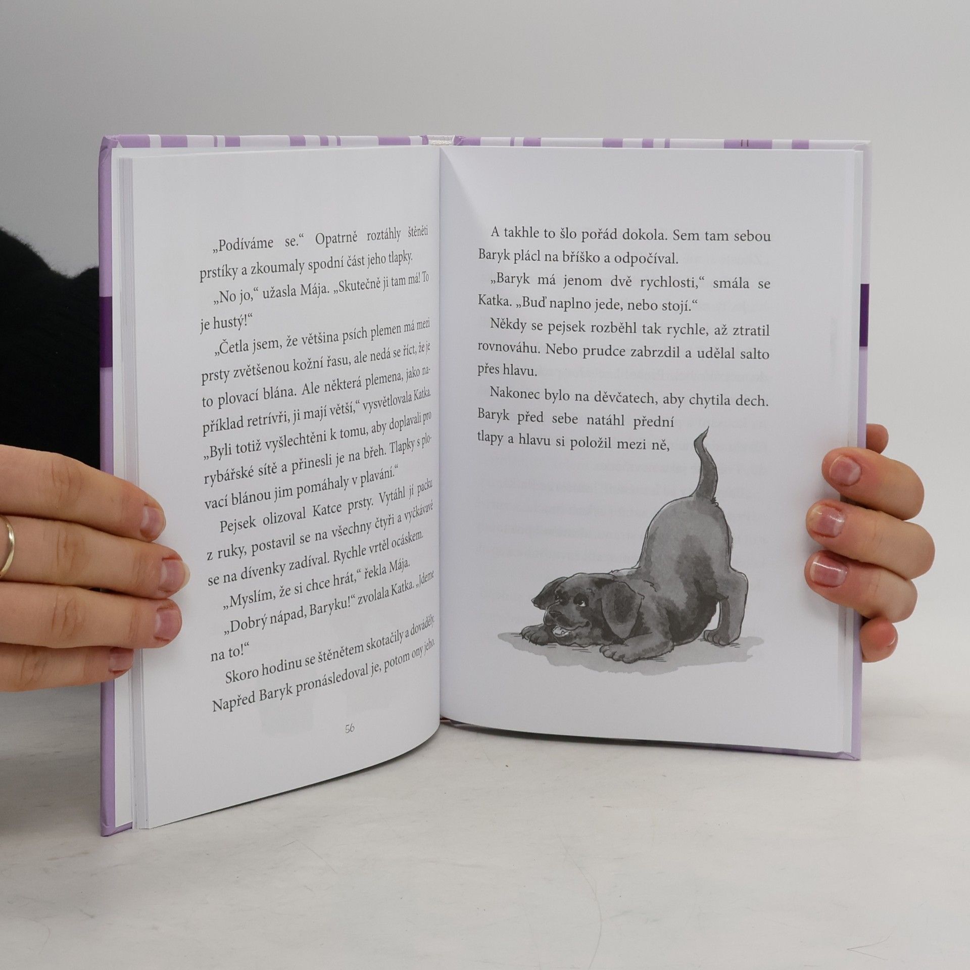 Susan Hughes Kdo pohlídá Baryka?
