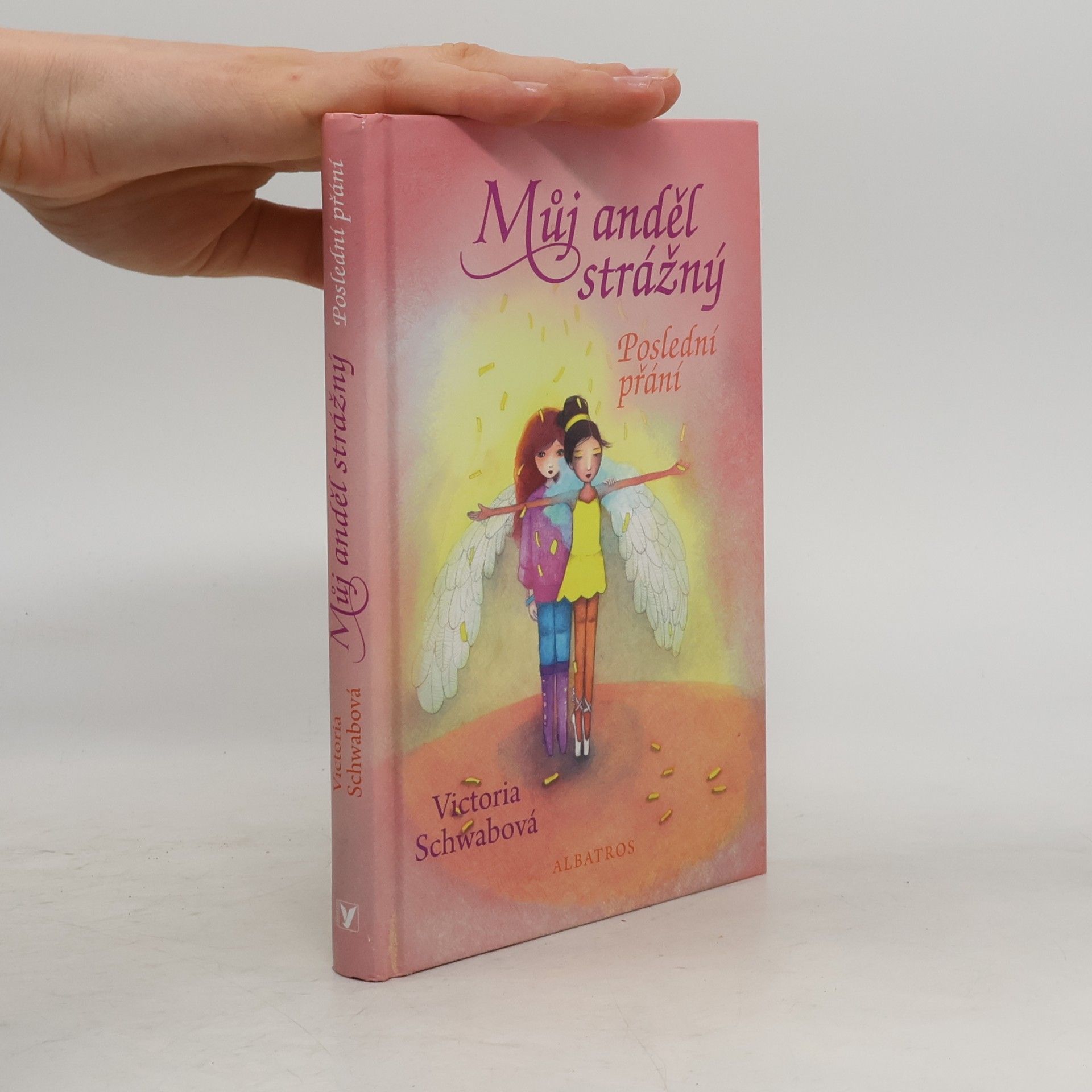 V. E. Schwab Poslední přání