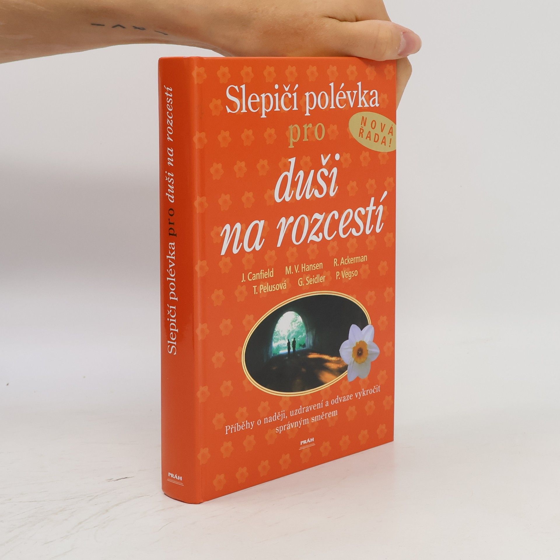 Jack Canfield Slepičí polévka pro duši na rozcestí