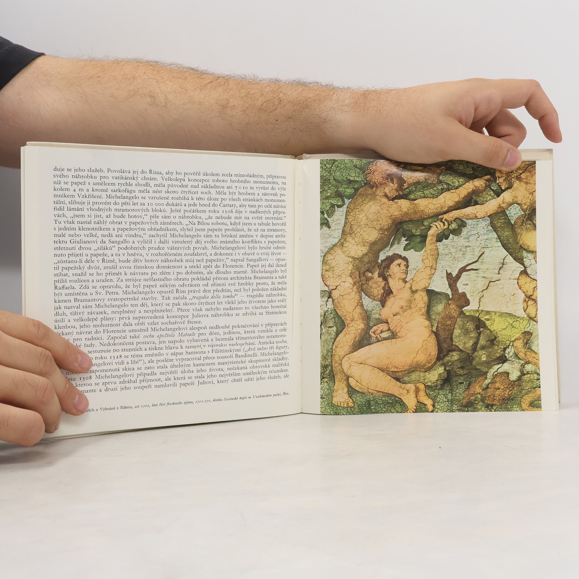 Oldřich J. Blažíček Michelangelo