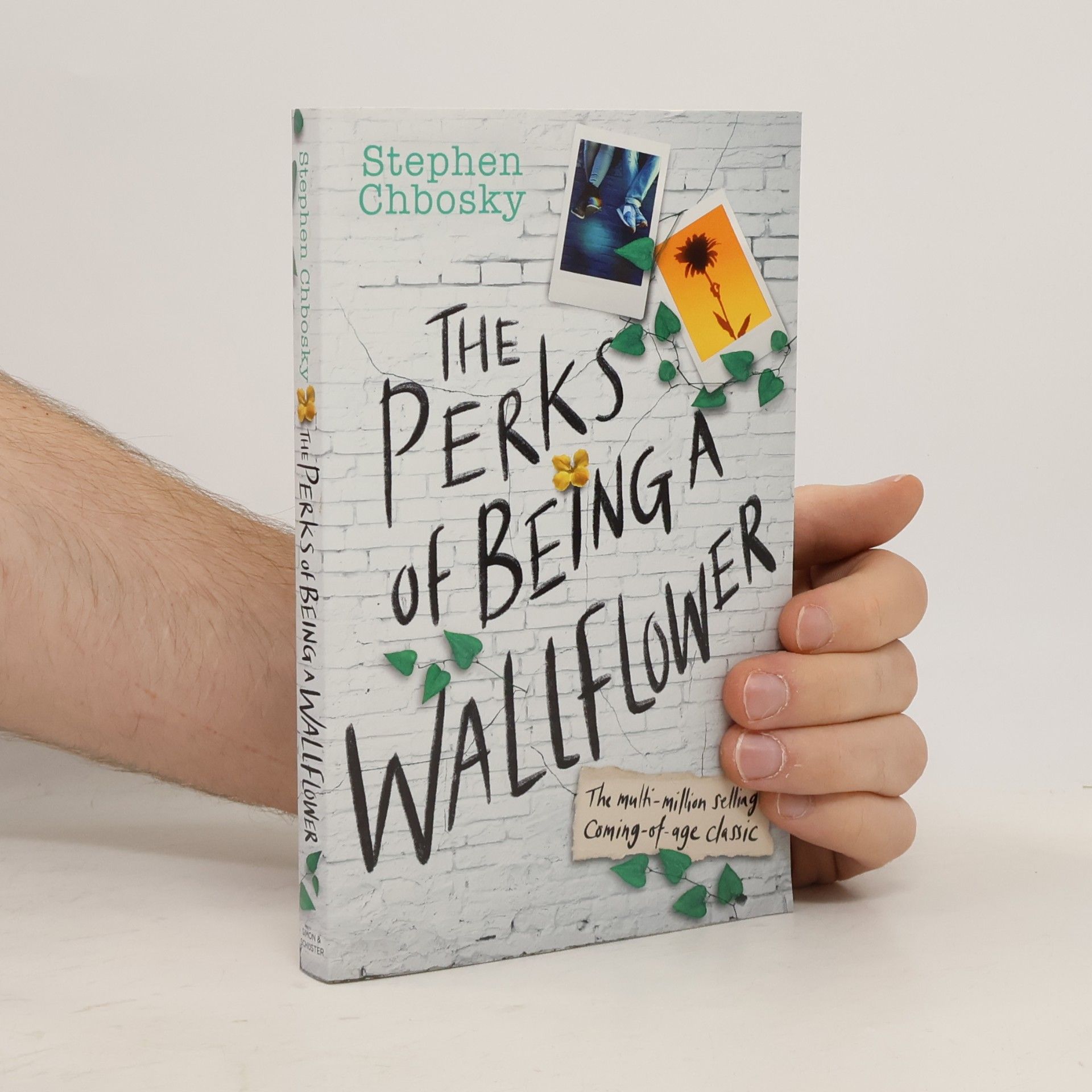 Stephen Chbosky The Perks of Being a Wallflower YA Edition
